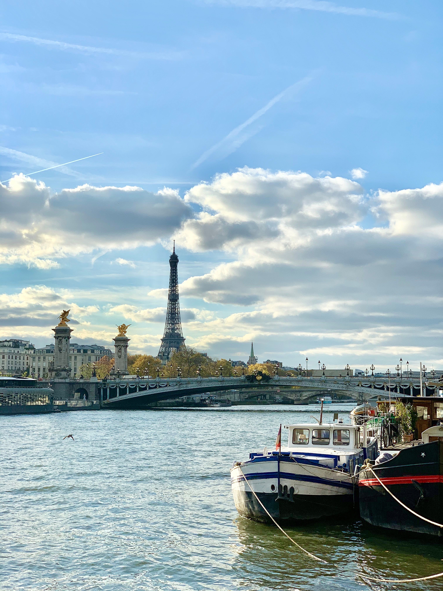 🇨🇭🇫🇷 从瑞士法国回到武汉，我的心潮澎湃！