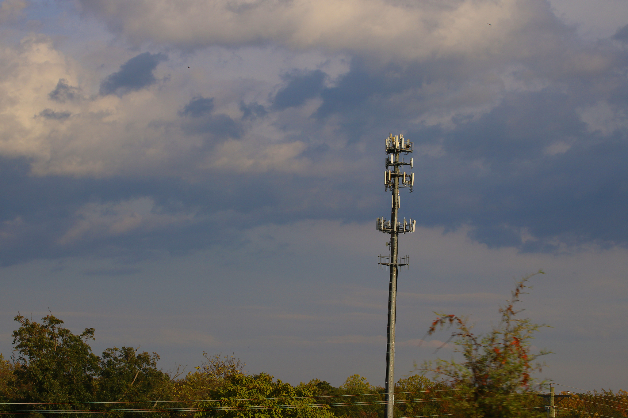 your signal