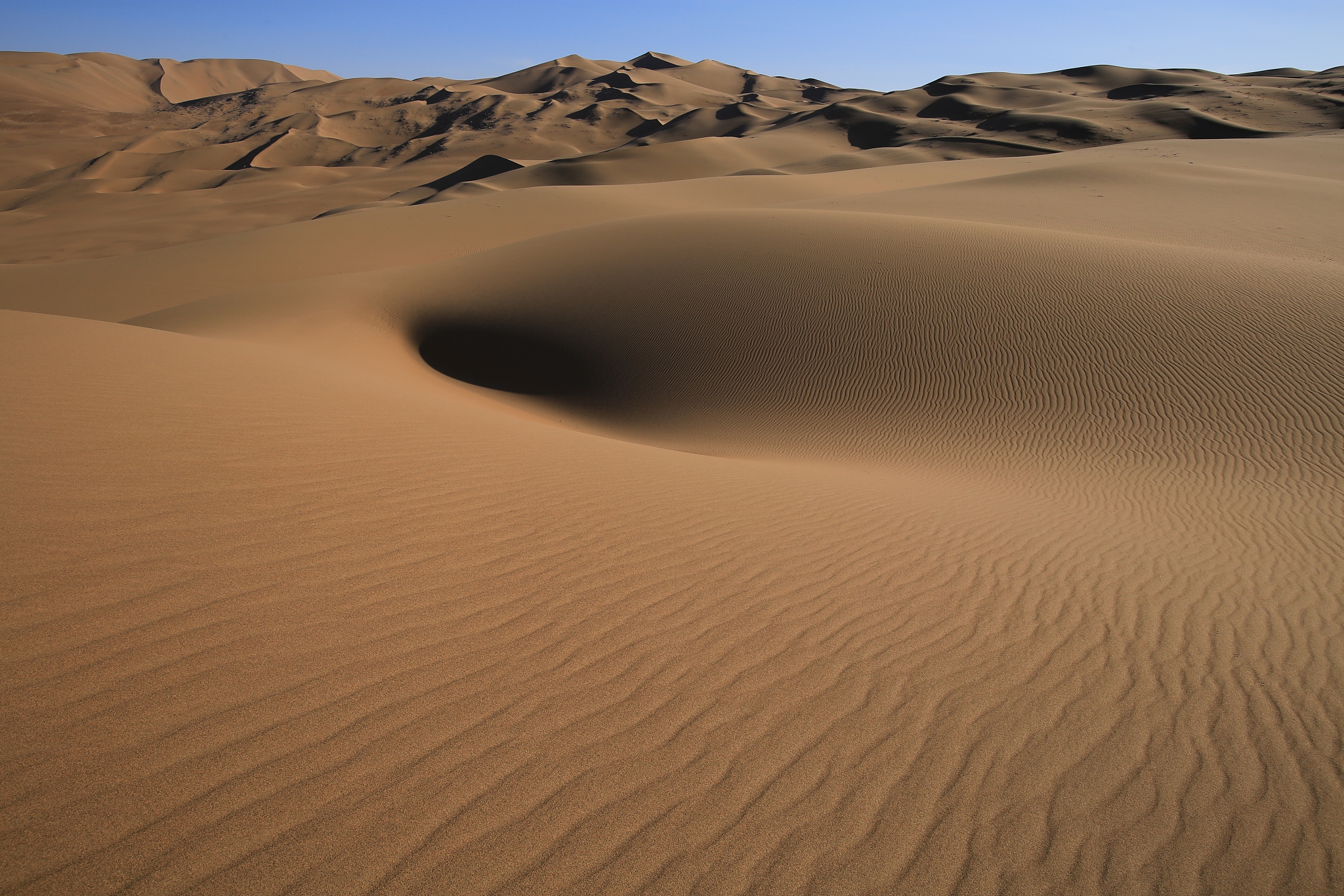 生物节律调控的中枢：大脑结构与神经元群