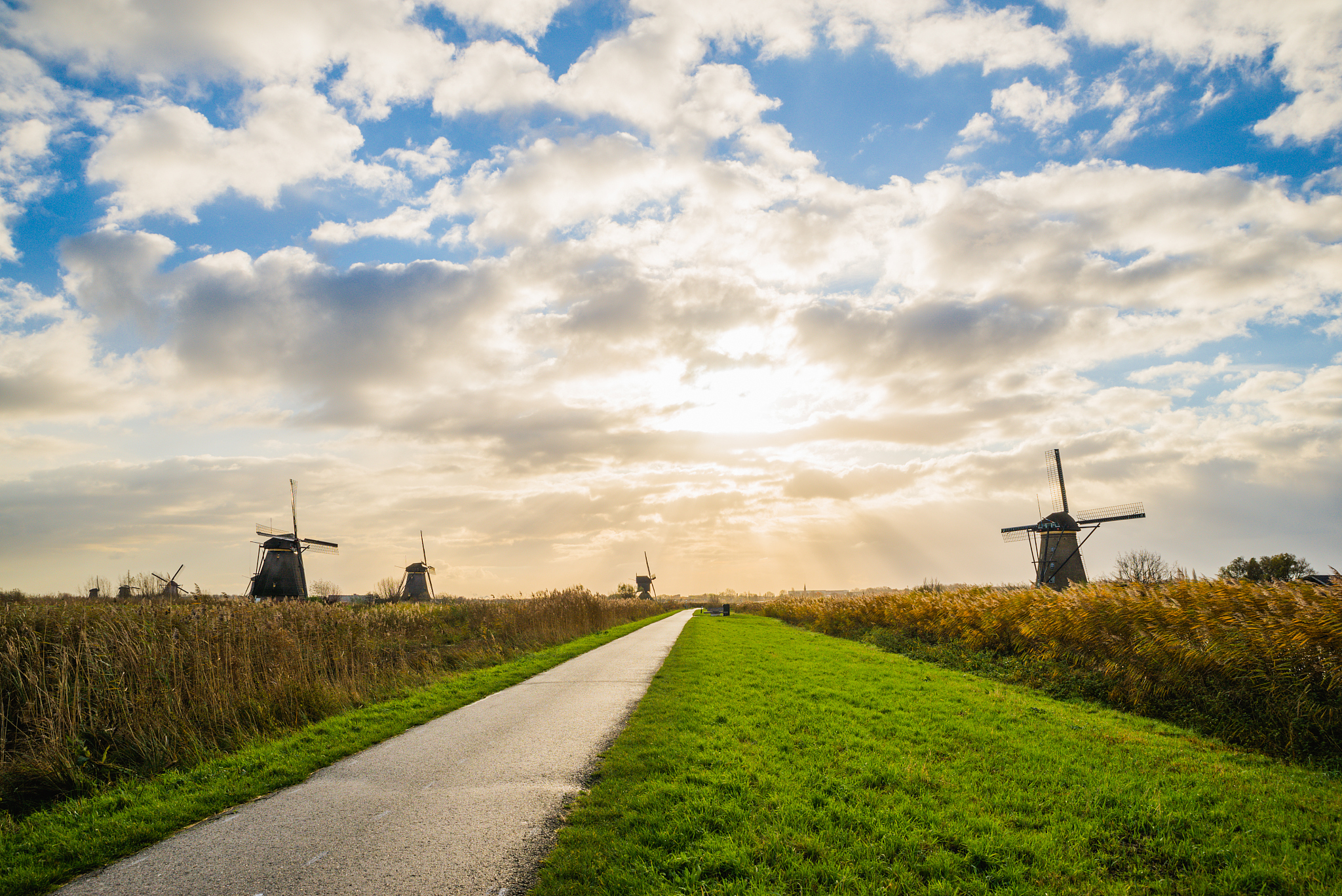 old windmills in kinderdijk at sunrise, holland, netherlands, eu