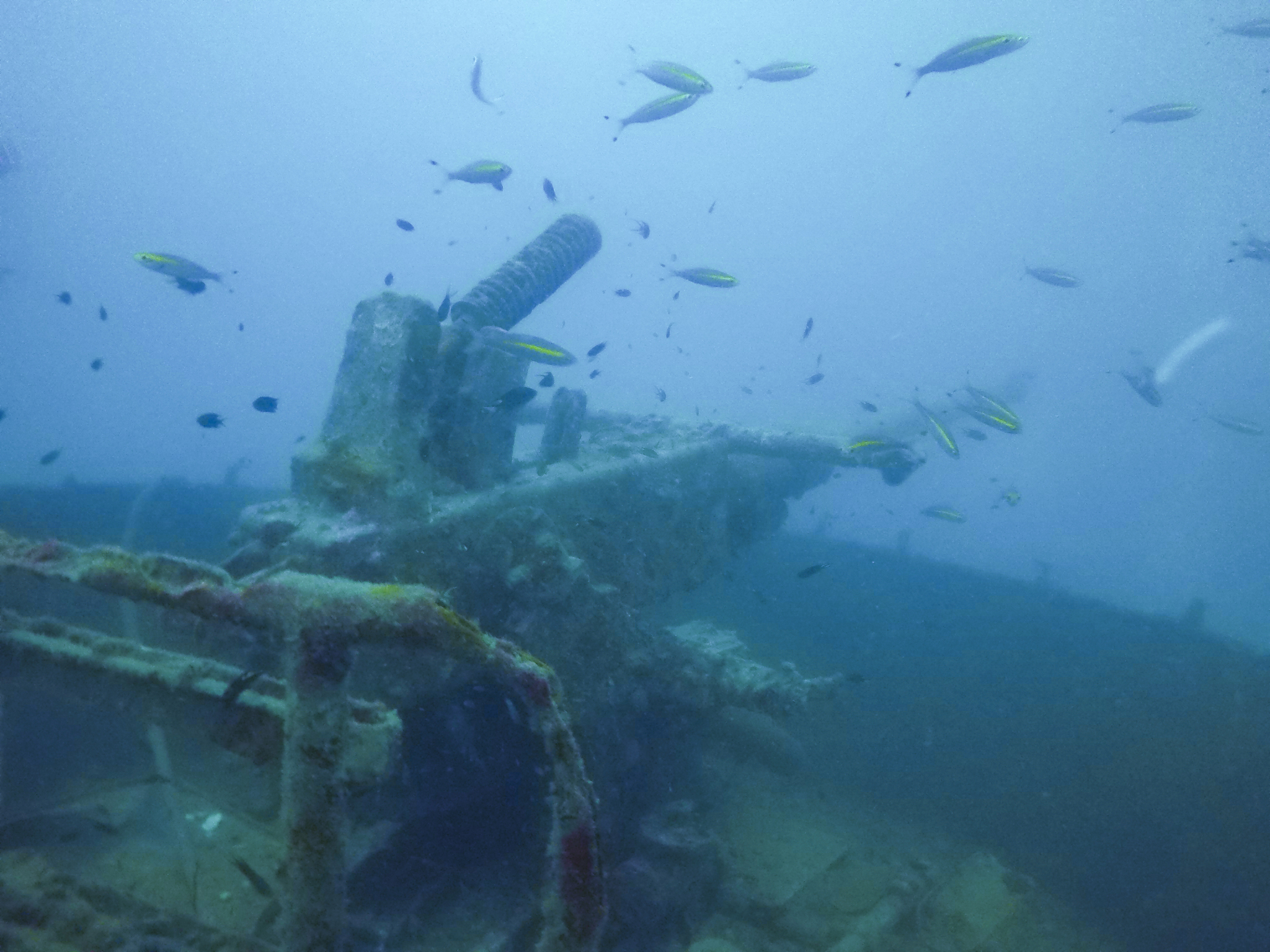 shipwreck htmc sattakut