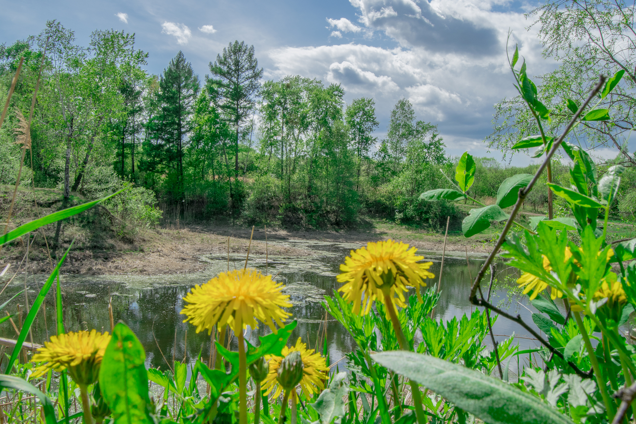 Xiao Qiao's Leisure: A Moment of Tranquility amidst Busyness