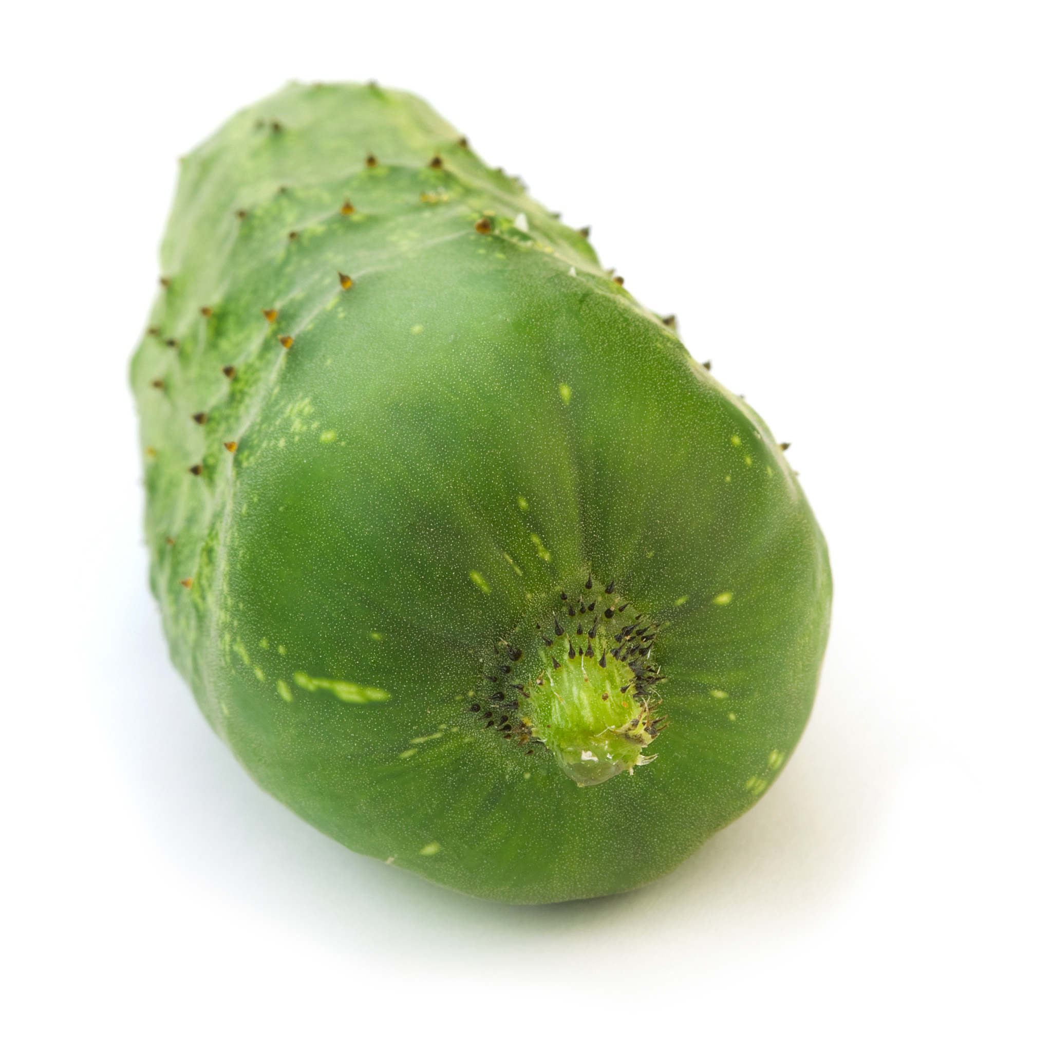 写出黄瓜短剧的软件介绍软件特色软件亮点软件优势软件测评