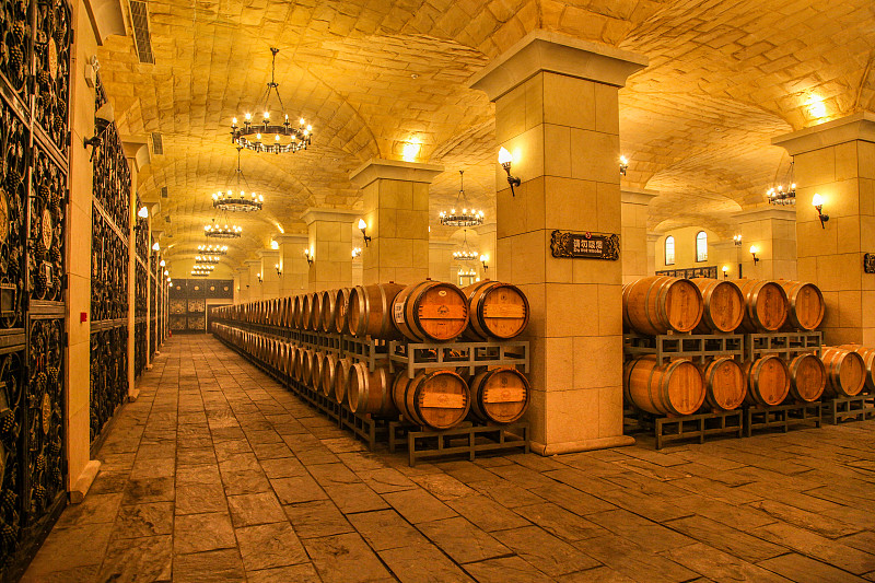 写一个参观张裕酒博物馆的观后感1600字