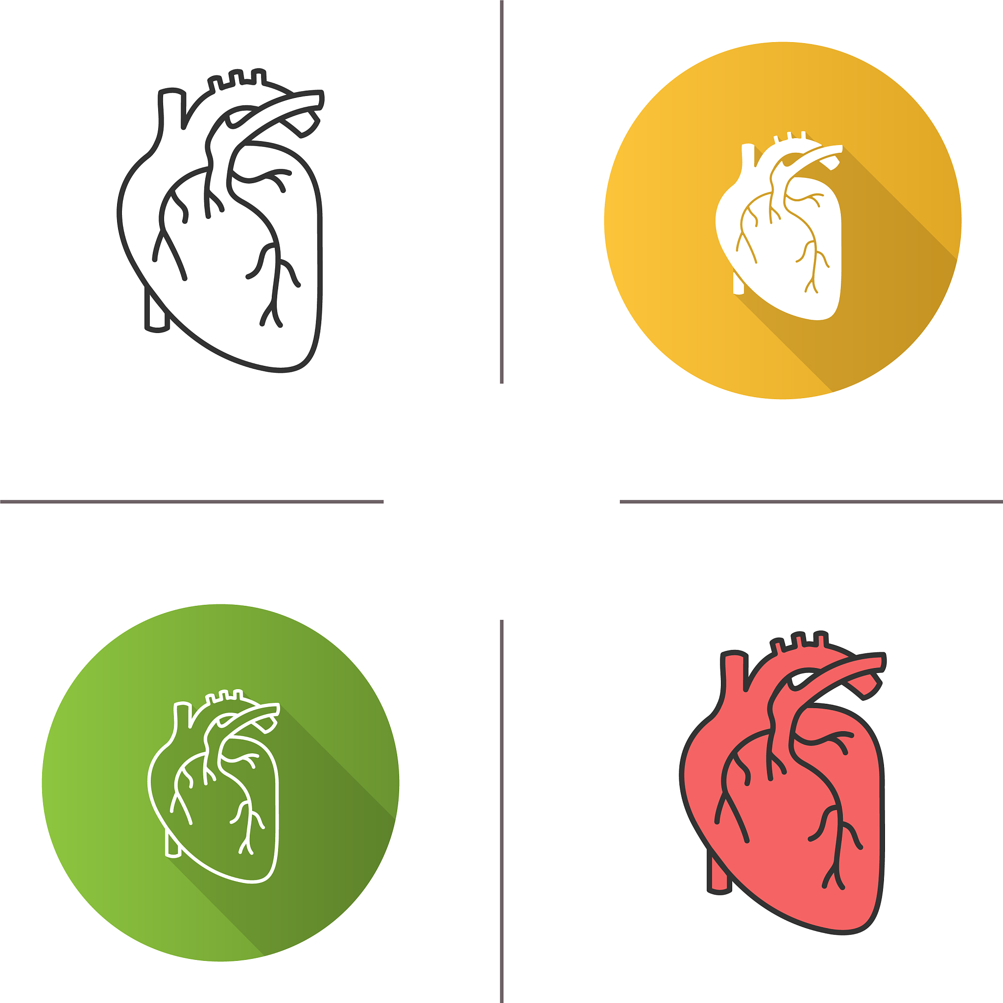 重庆城市管理职业学院康复治疗技术专业怎么样？学什么？