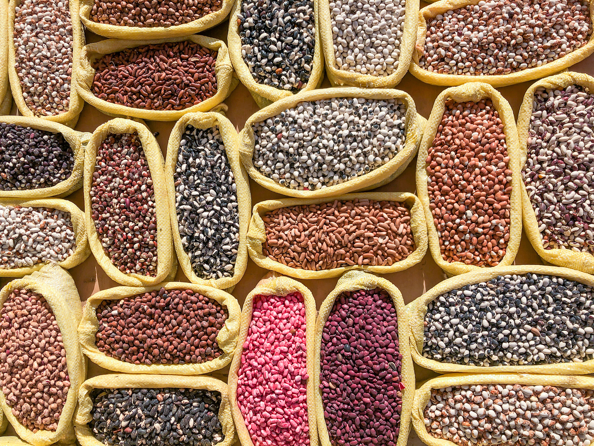 variety of seeds for farmers in an organic market
