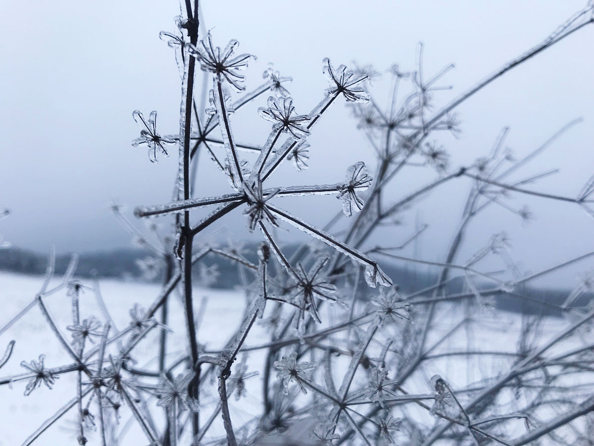 倒春寒持续多久？ - 了解倒春寒的时间长度