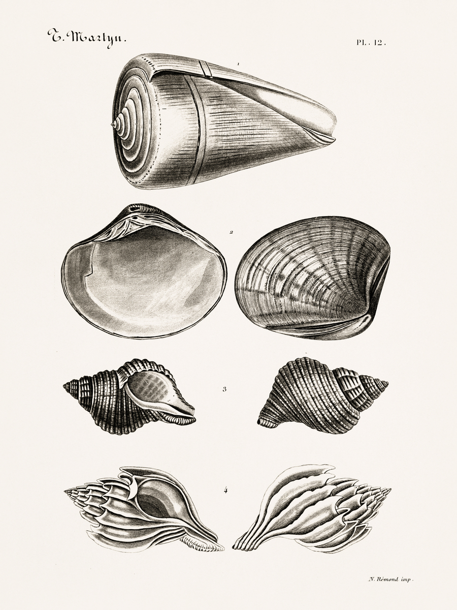 江苏新闻出版学校2021年招生专业都有哪些