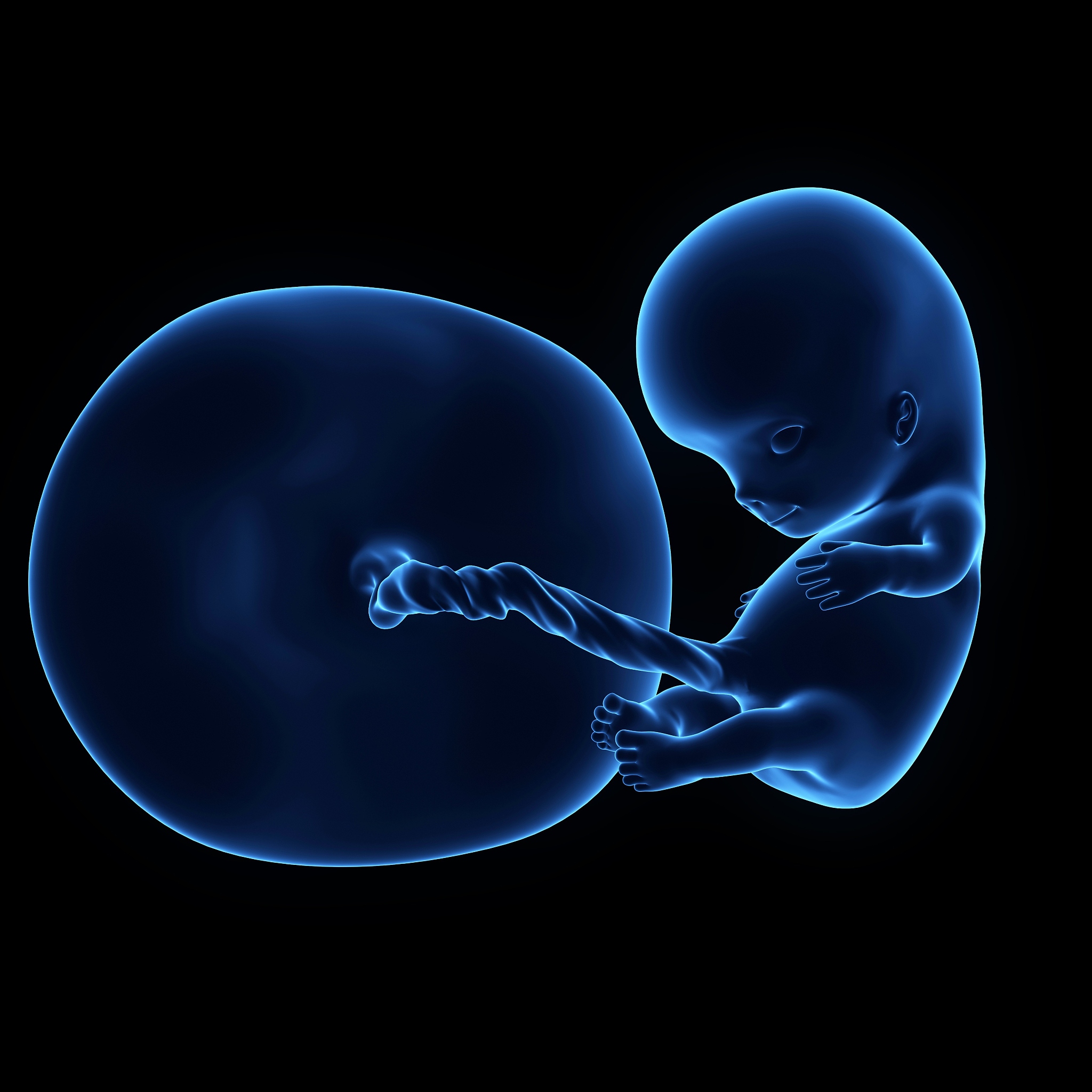 试管婴儿的全过程是什么样的？