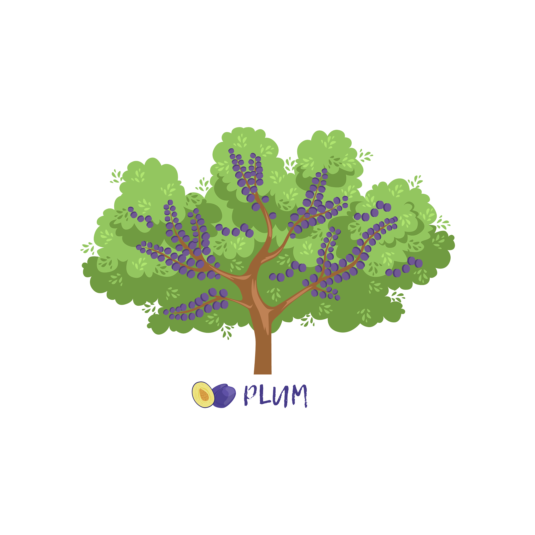 敦煌种业：优质种业领跑者，助力农业现代化发展