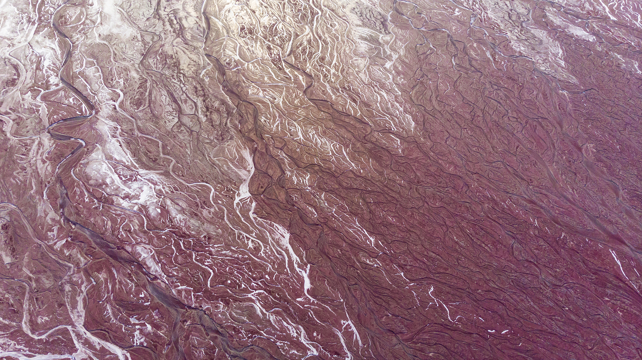 中药饮片鉴定指南：从来源到性状，全面解析