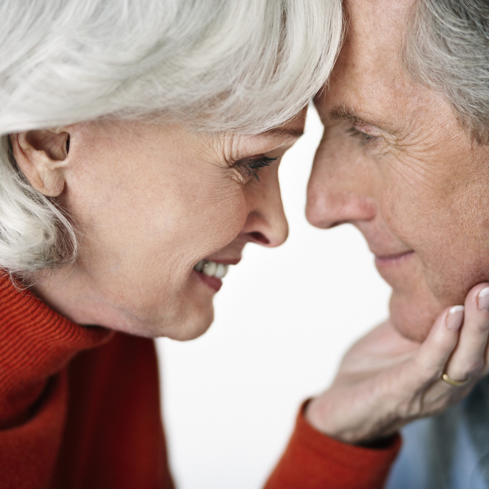 不弃故旧是什么意思