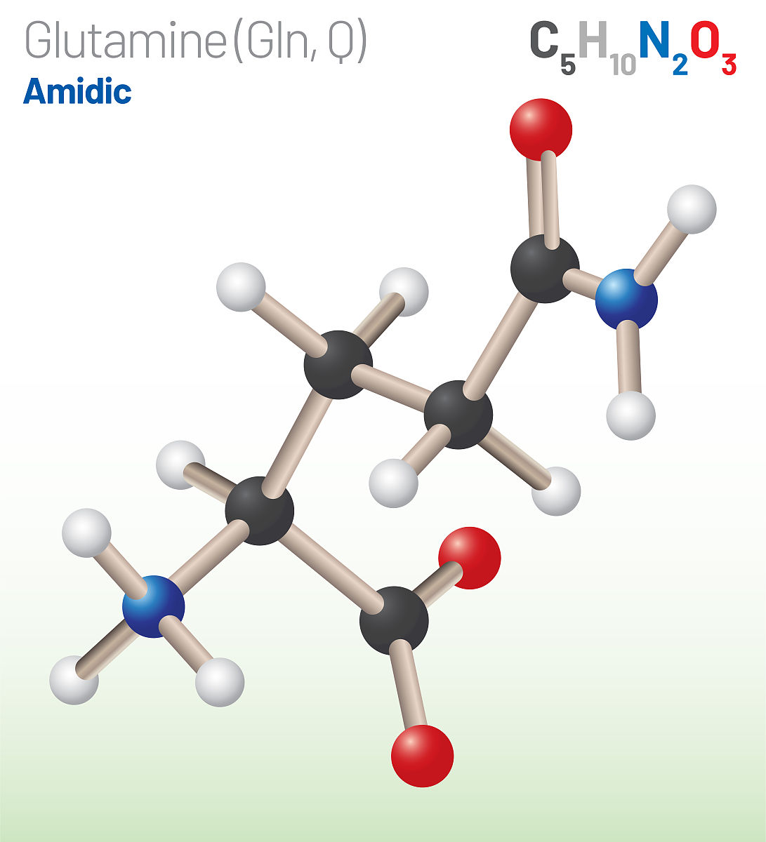 KTKQQFLIKAQTQLFKVFGYTLKK所对应的氨基酸序列为