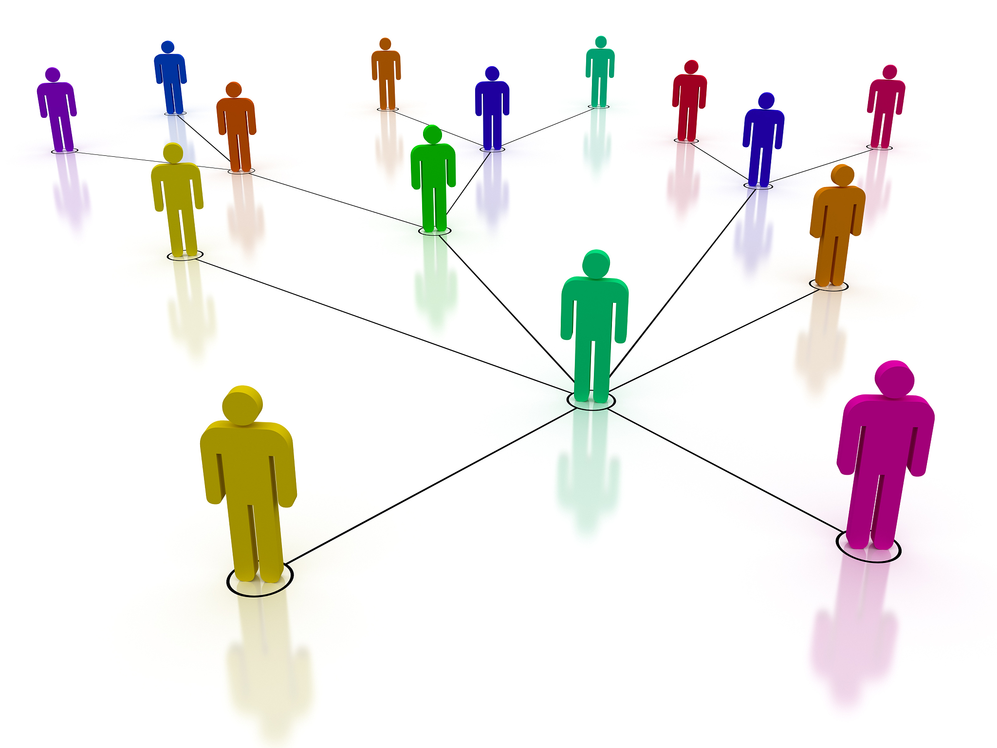 人類社會的組成：個體、群體與複雜結構