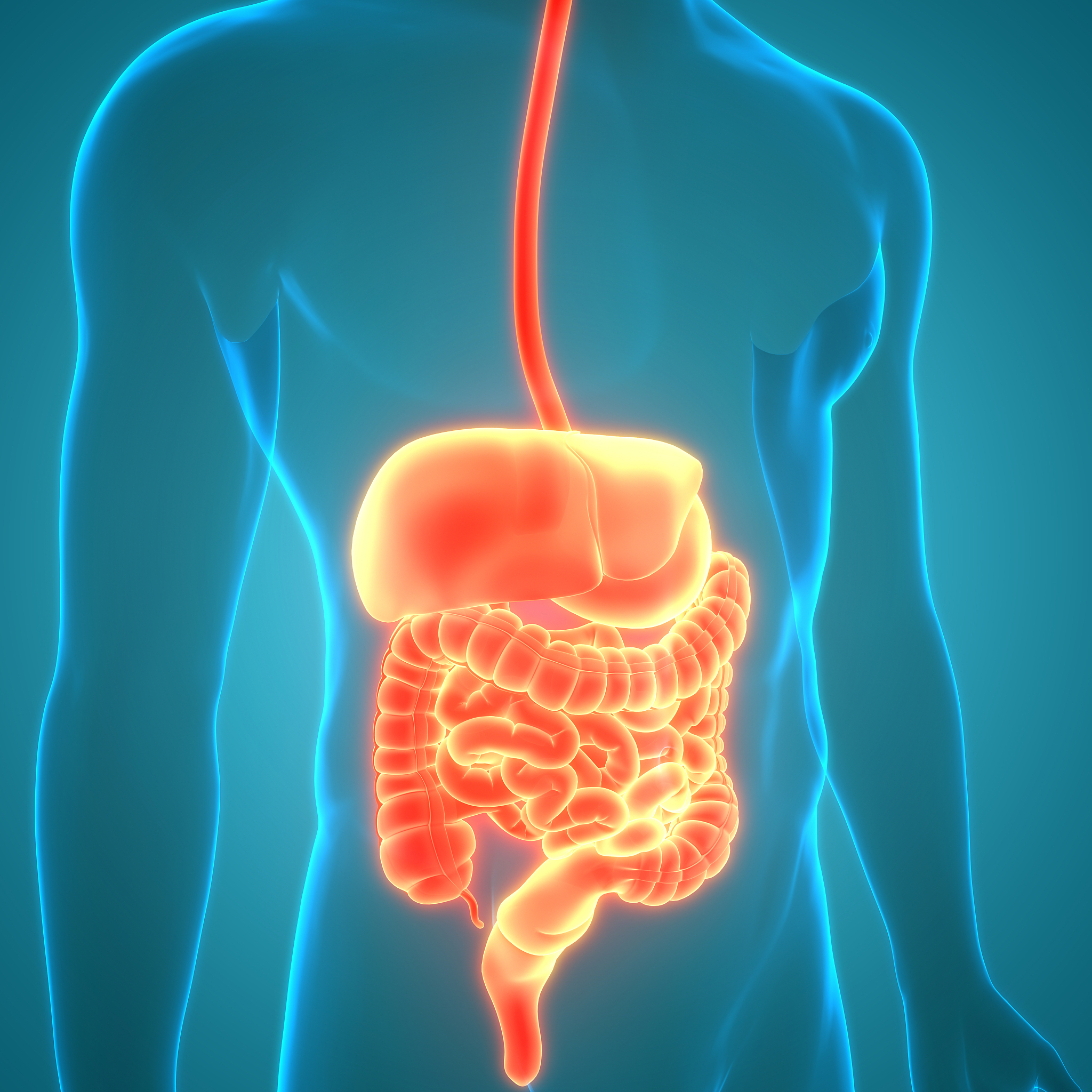 胆息肉：症状、治疗及预防