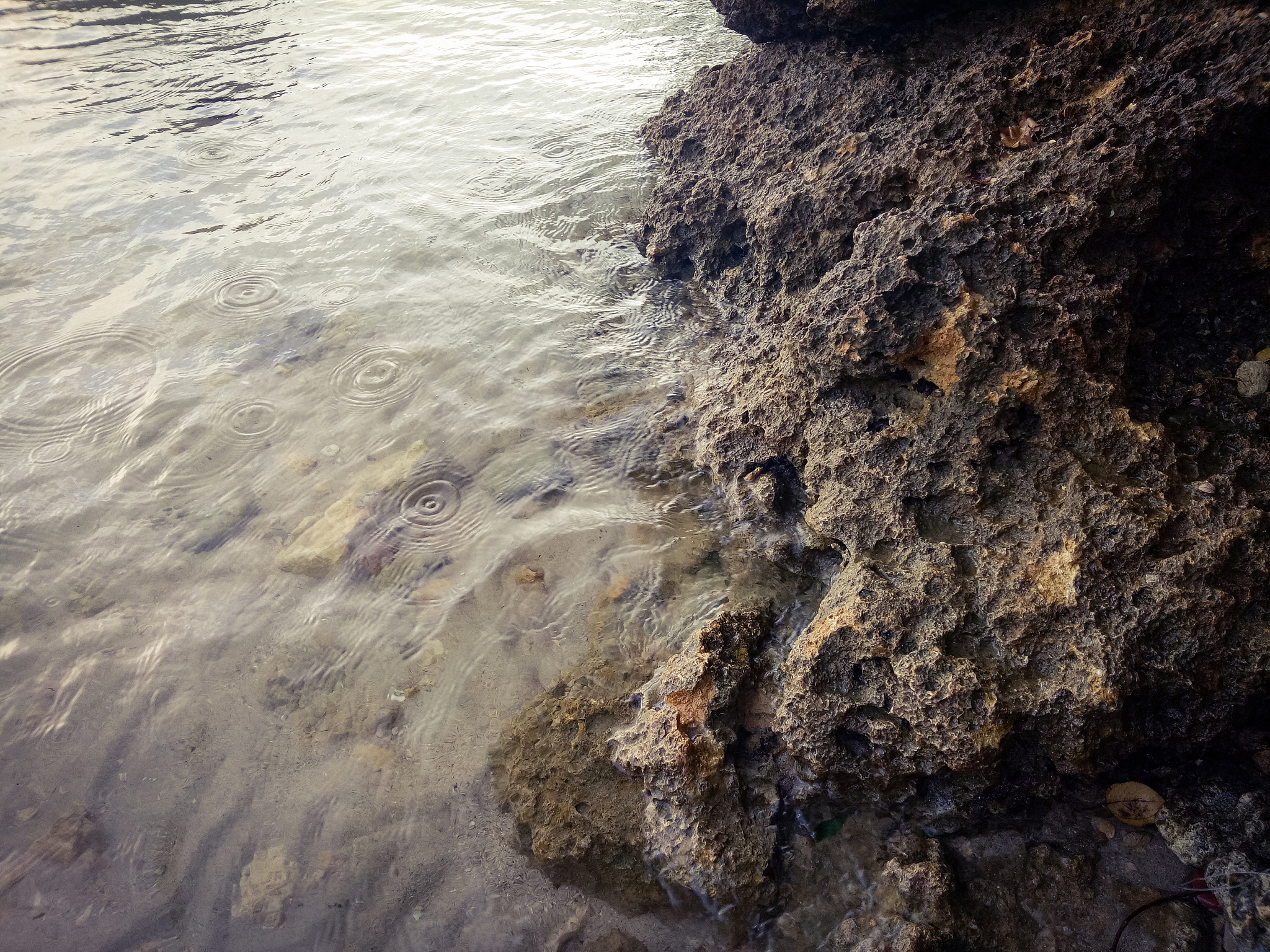 海水浸泡预处理提升辉钼矿回收率，实现黄铜矿和辉钼矿高效分离