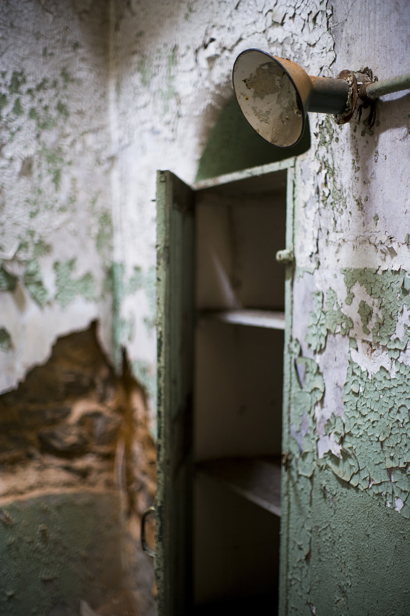 Title Capturing the Neglected Exploring the Unseen Beauty of the Surrounding EnvironmentIntroductionIn todays society we often find ourselves immersed in short videos and virtual social interactions n