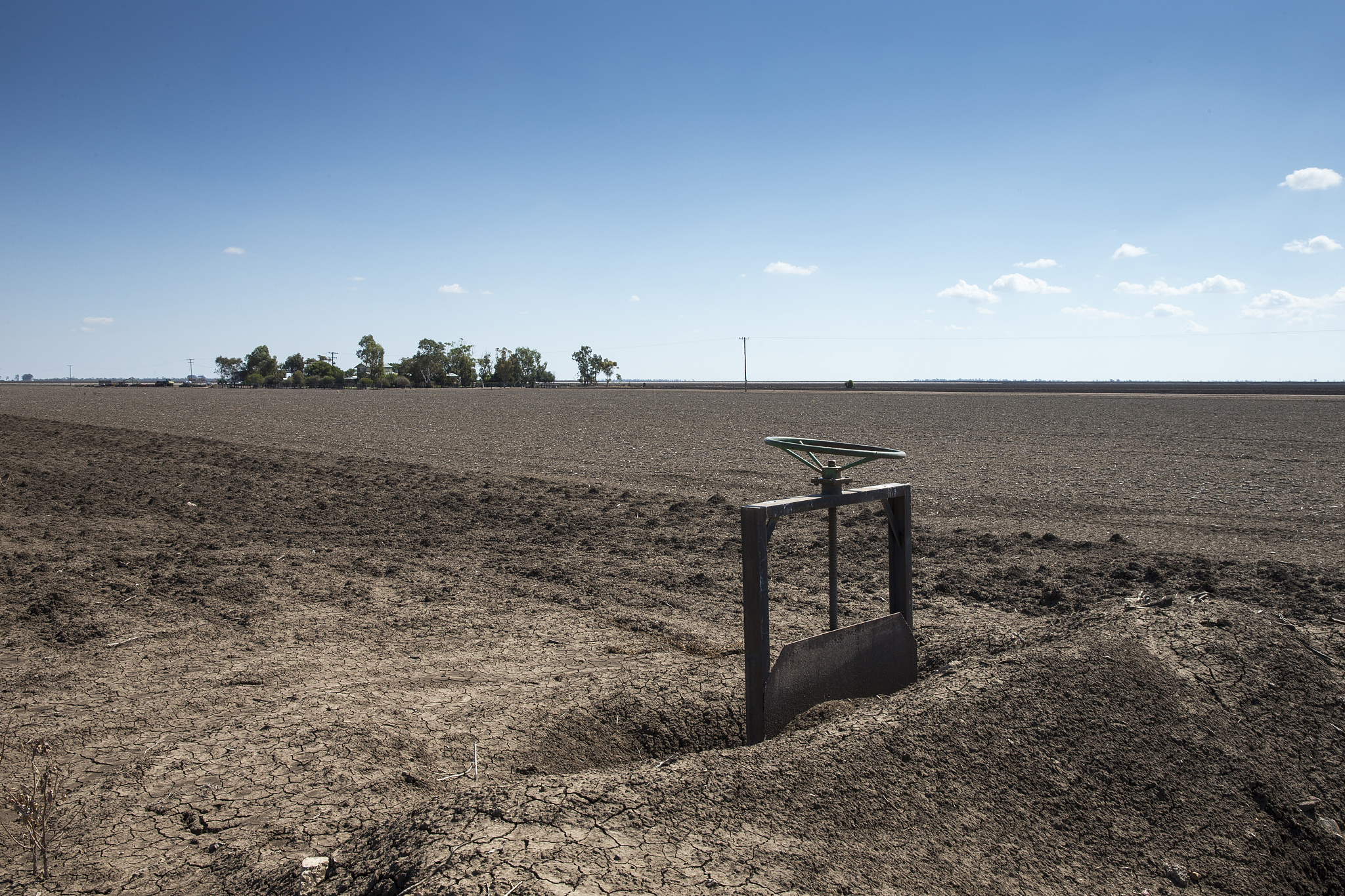 新疆棉花亩产：产量范围、影响因素及获取更准确数据的途径