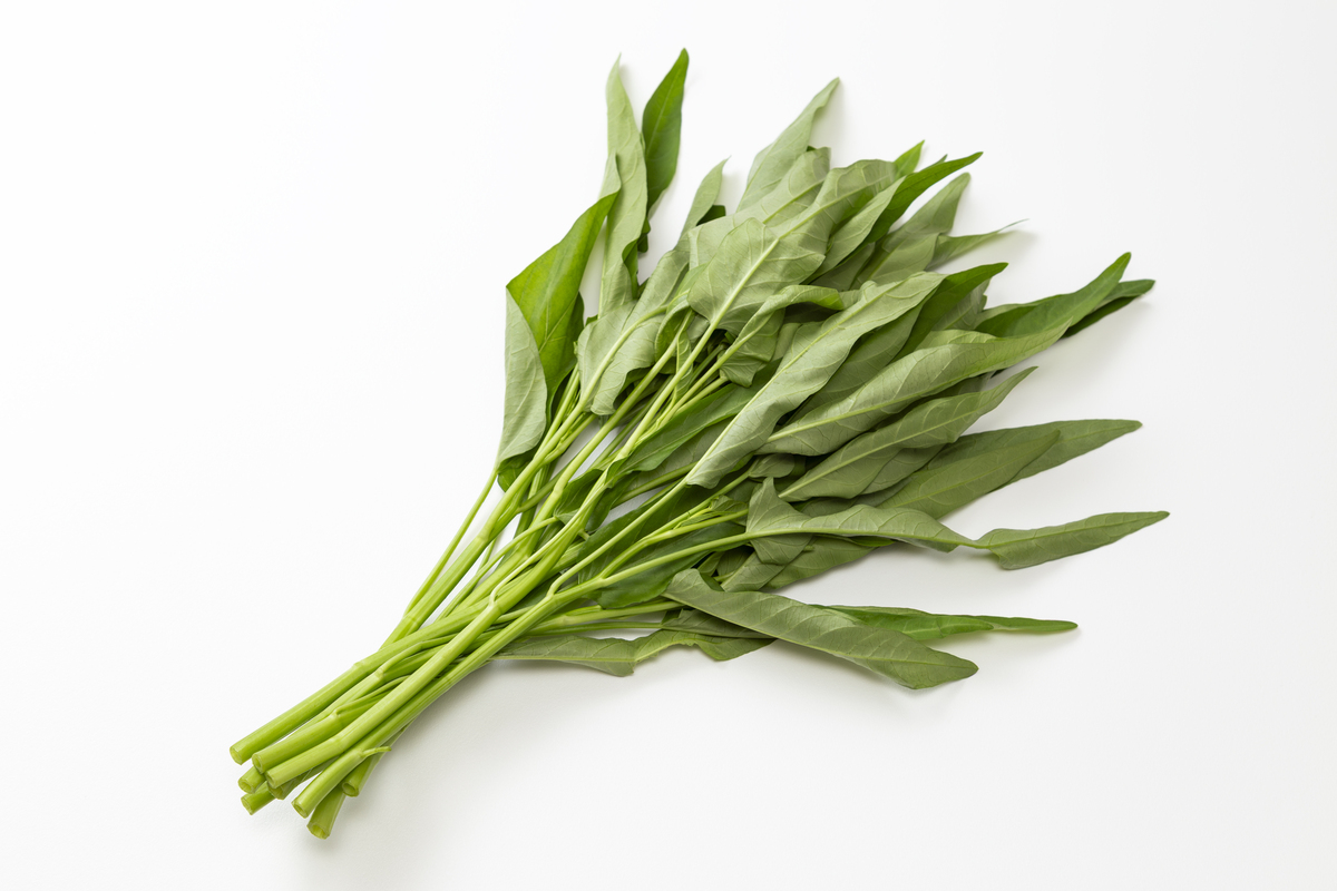 蕹菜的功效与作用禁忌，