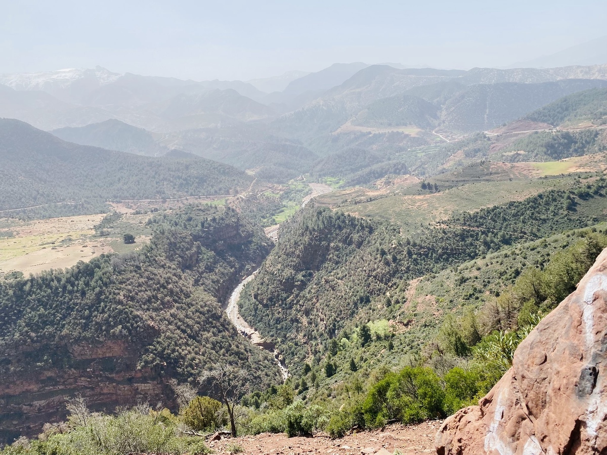 兰州兴隆山土壤和植被
