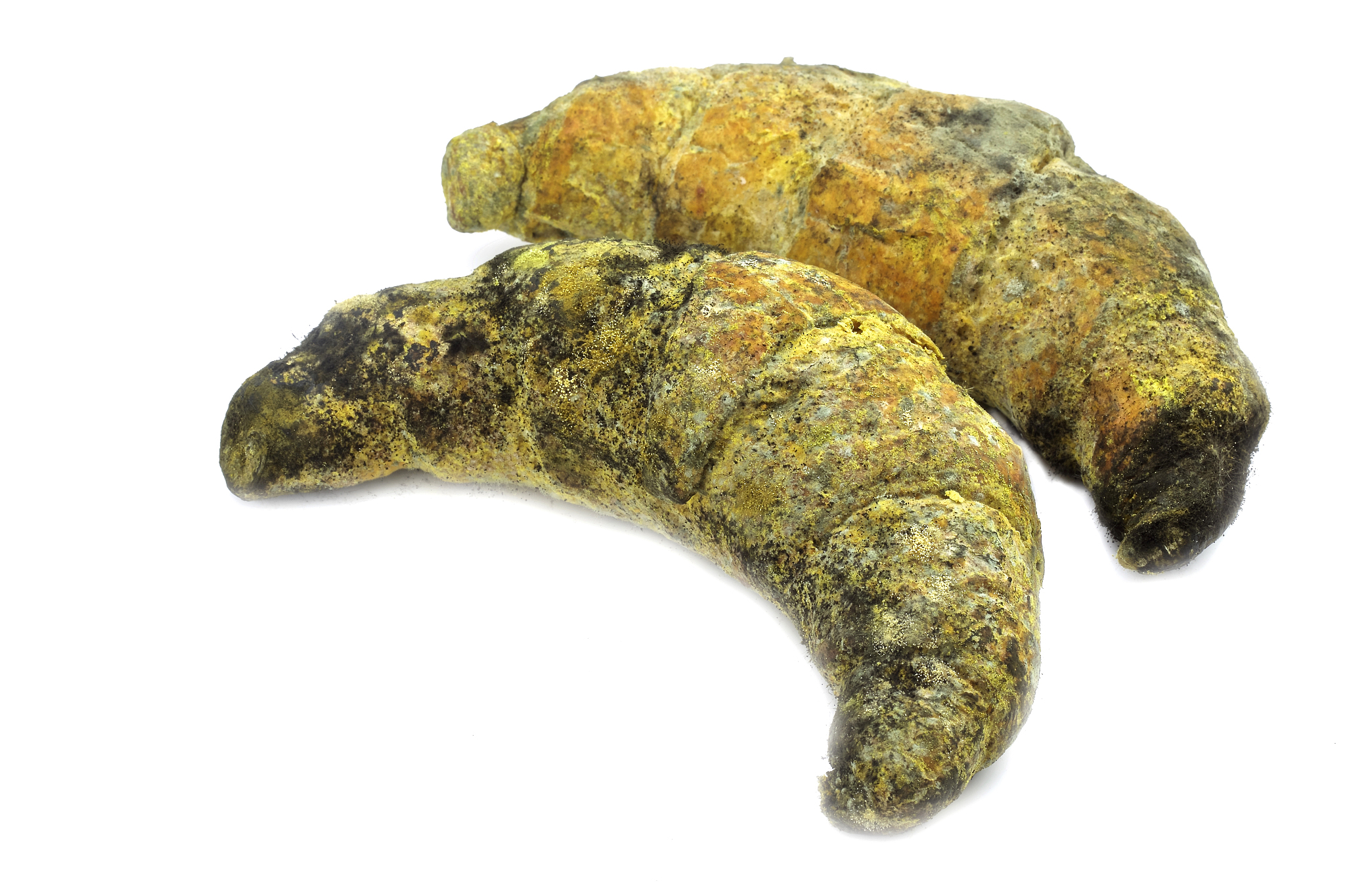 青岛大学医学院的生物技术就业前景怎么样