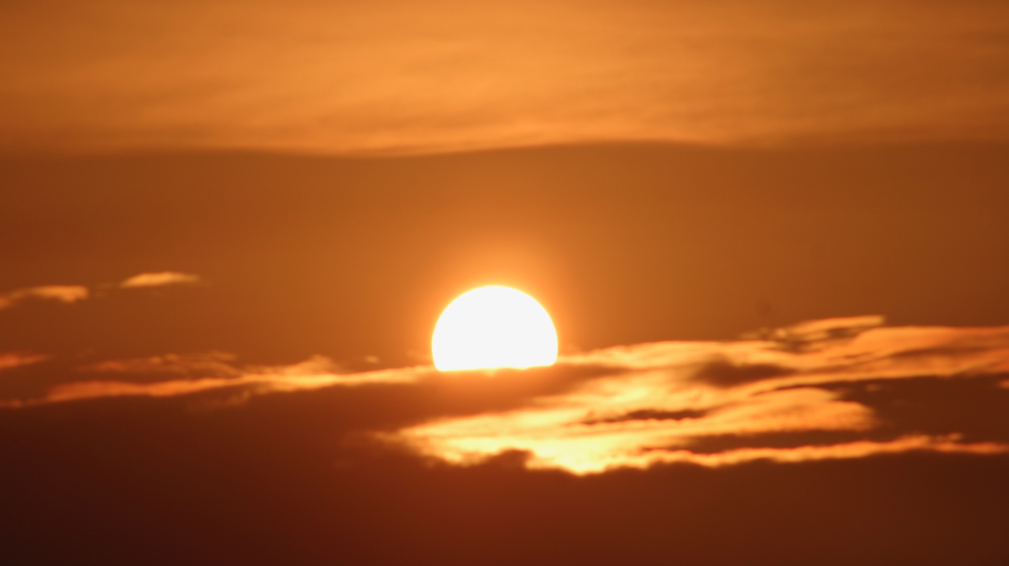 东旭是什么意思_词语东旭的意思