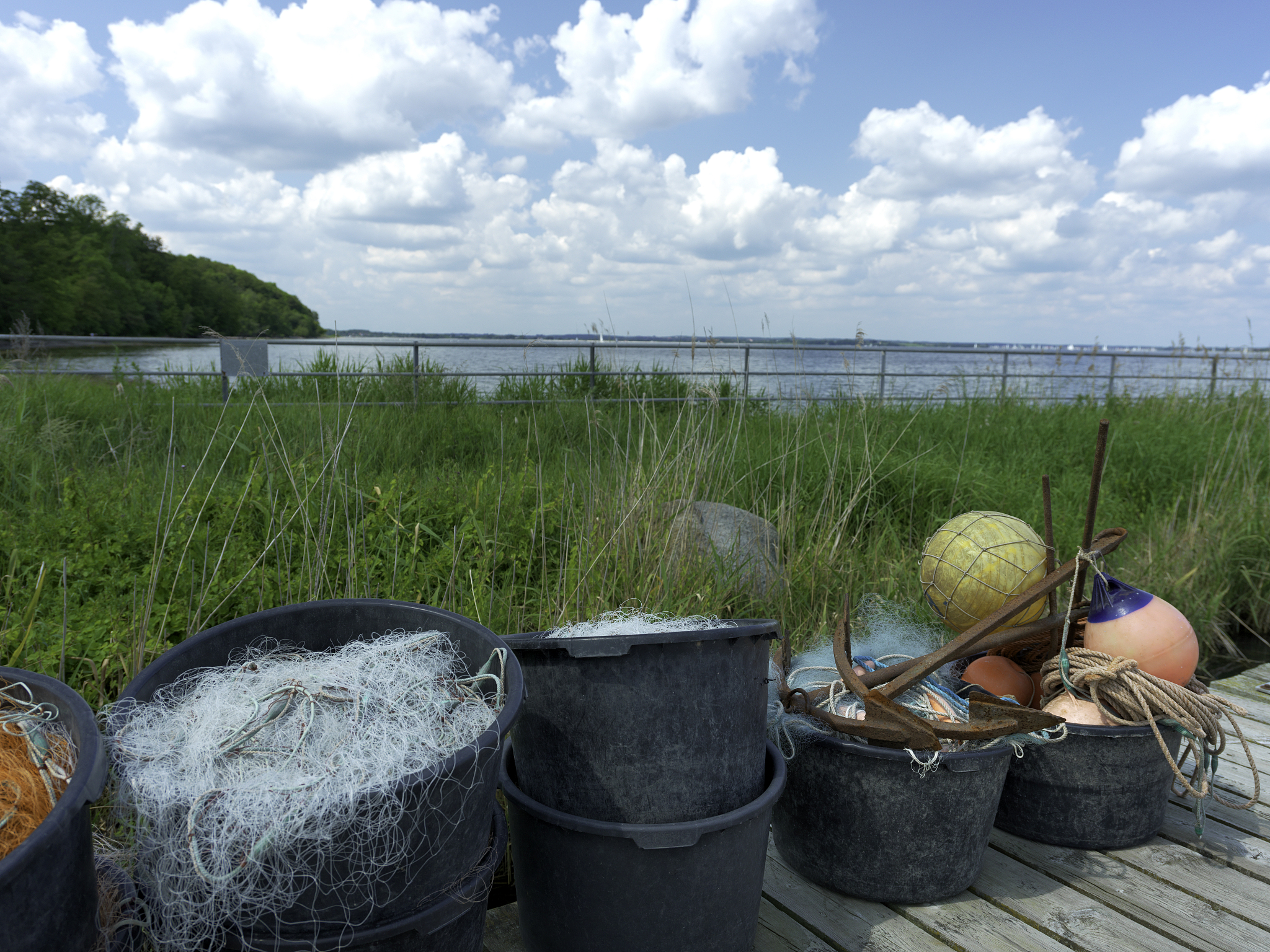 河蟹苗种质量影响因素及注意事项