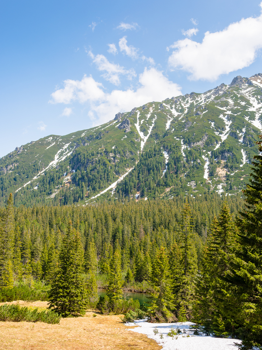 请用100字描述雪山巍峨白桦林伫立其中白云缠绕的场景