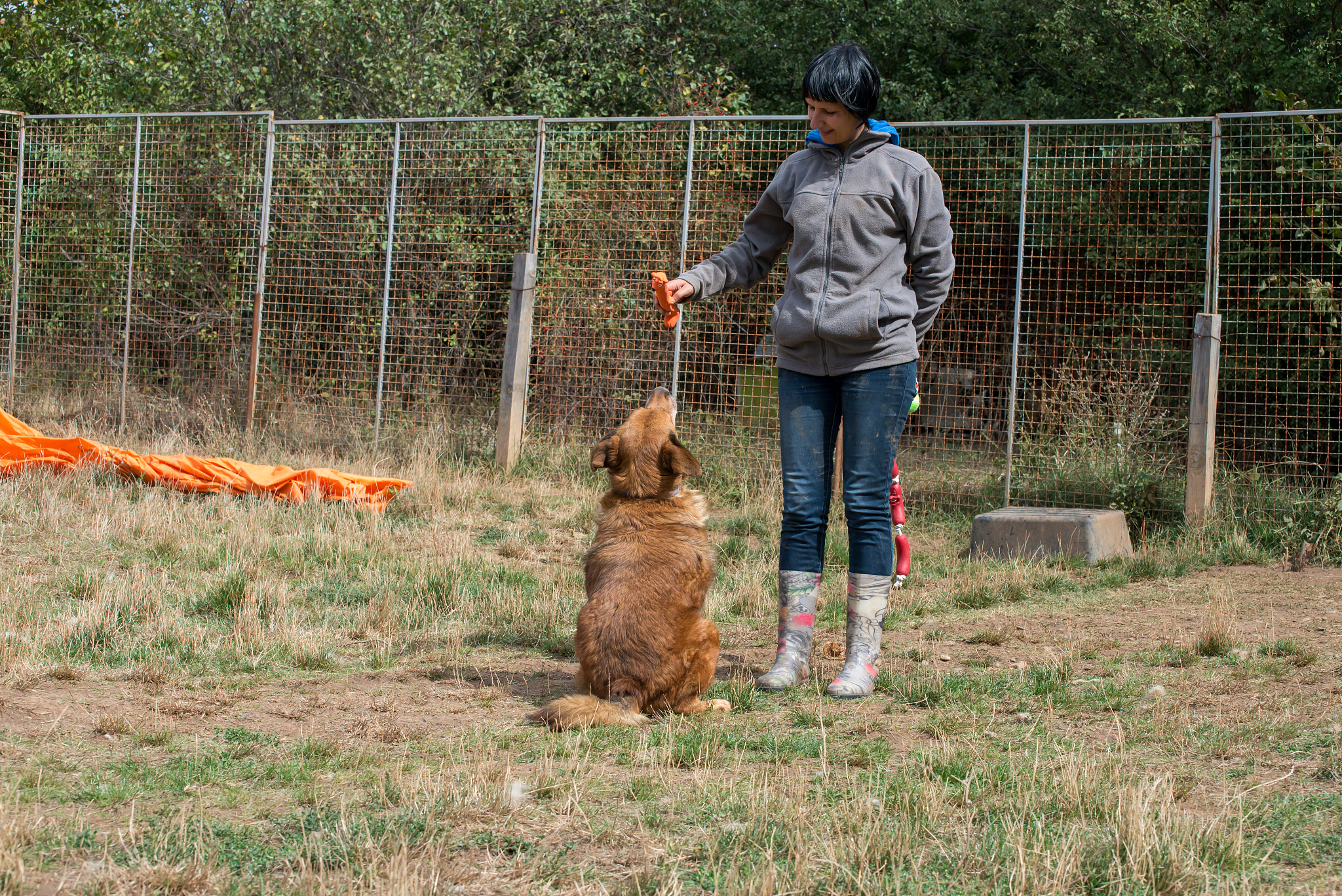 江苏省海安双楼中等专业学校宠物养护与驯导有发展前途吗？