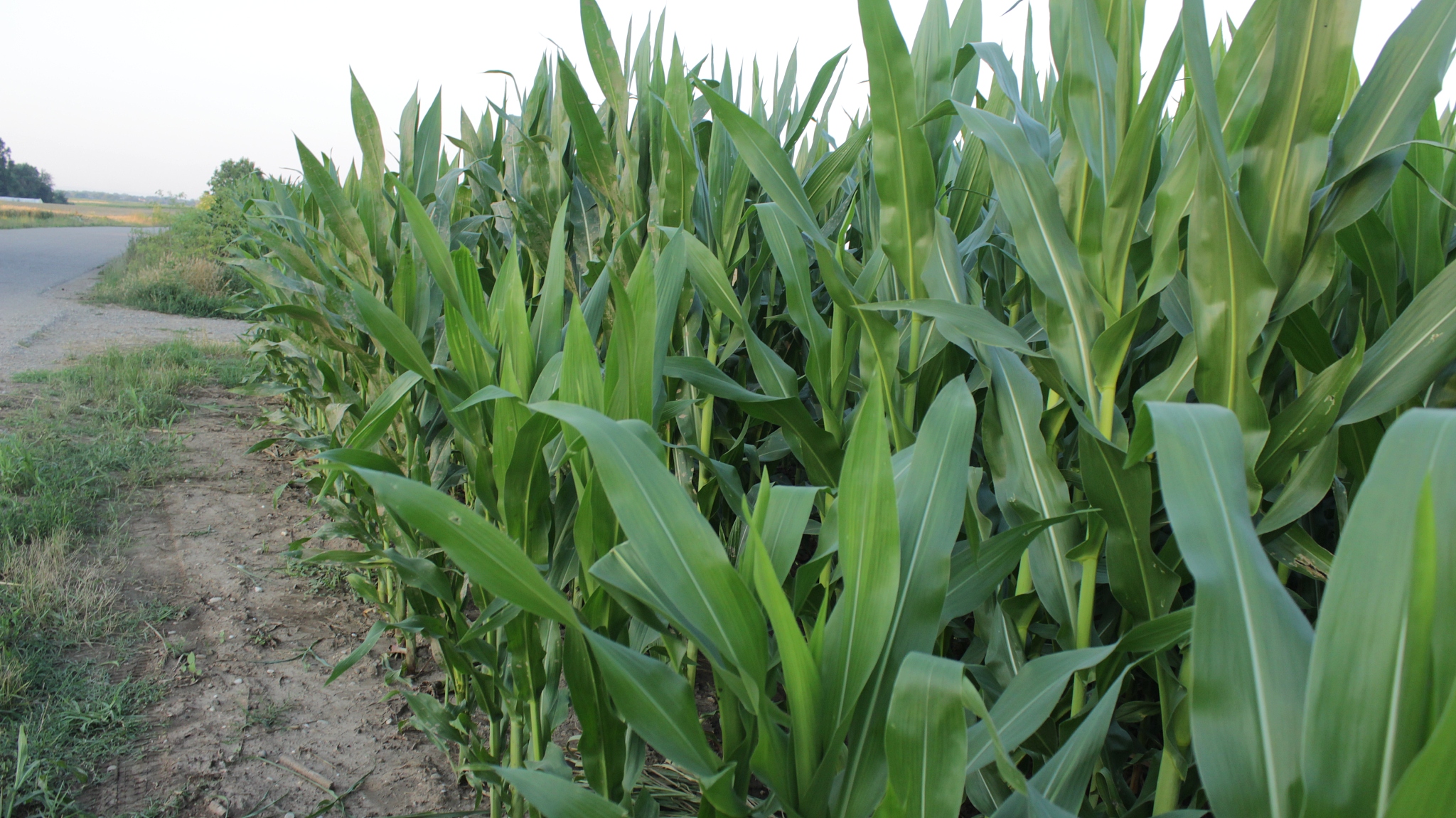 2020辽宁省农业经济学校招生简章 - 培养农业经济领域人才的摇篮