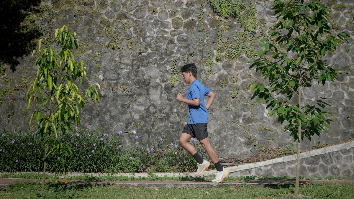 健身书籍推荐30本