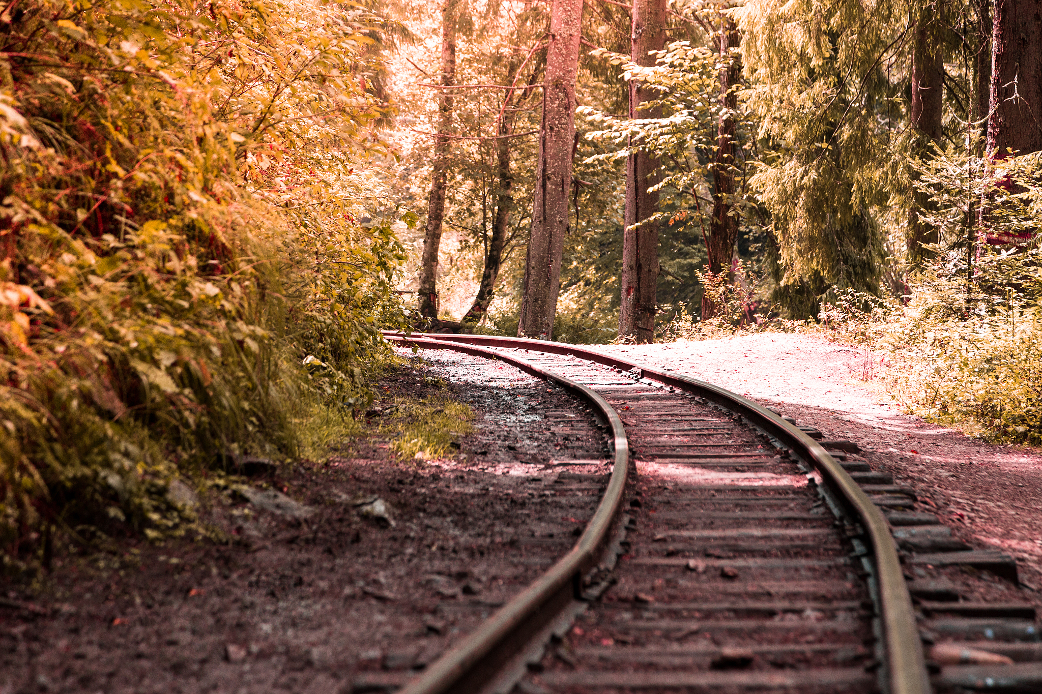 成都铁路技工学校轨道相关专业有哪些