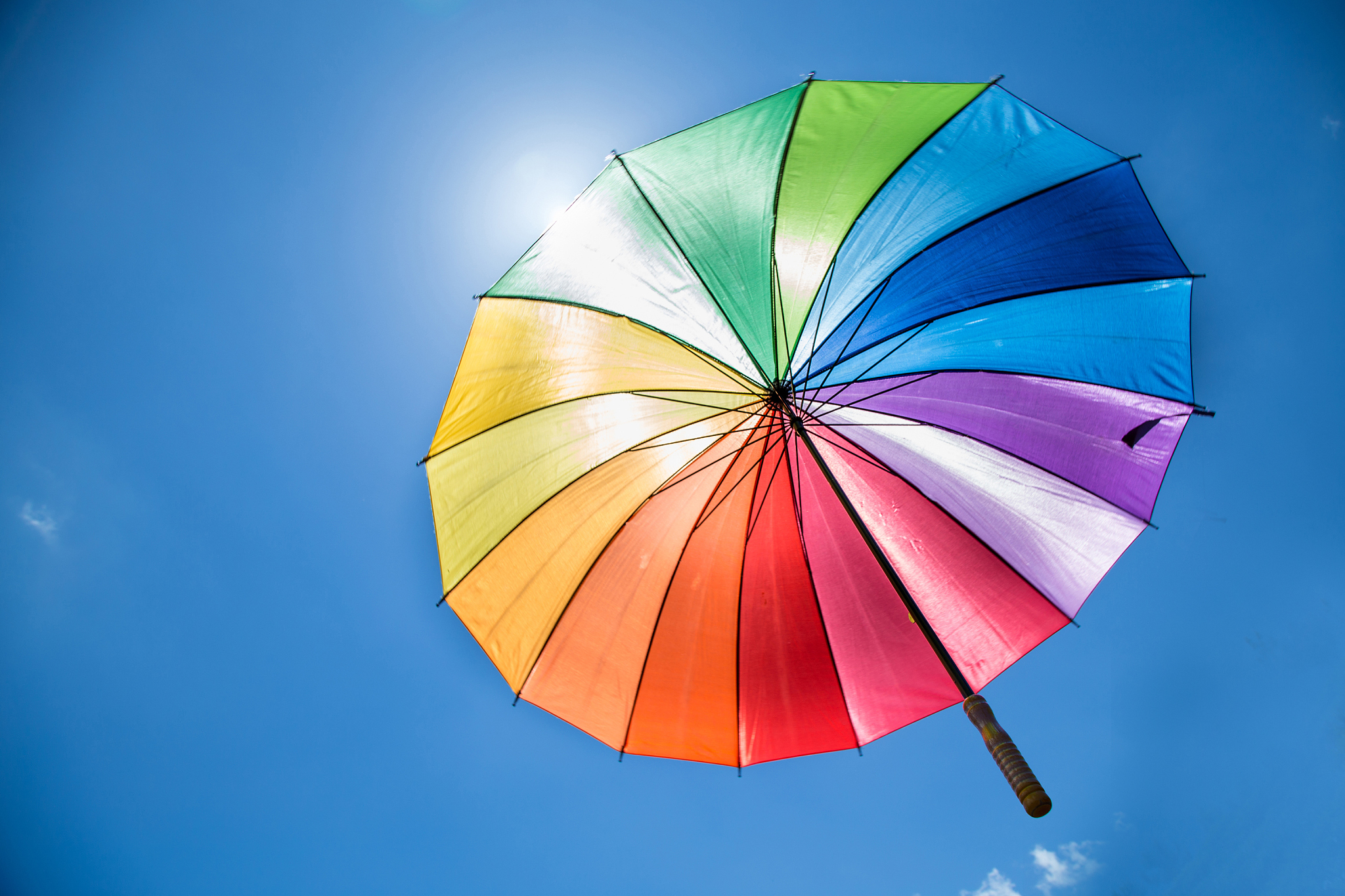 umbrella dairies
