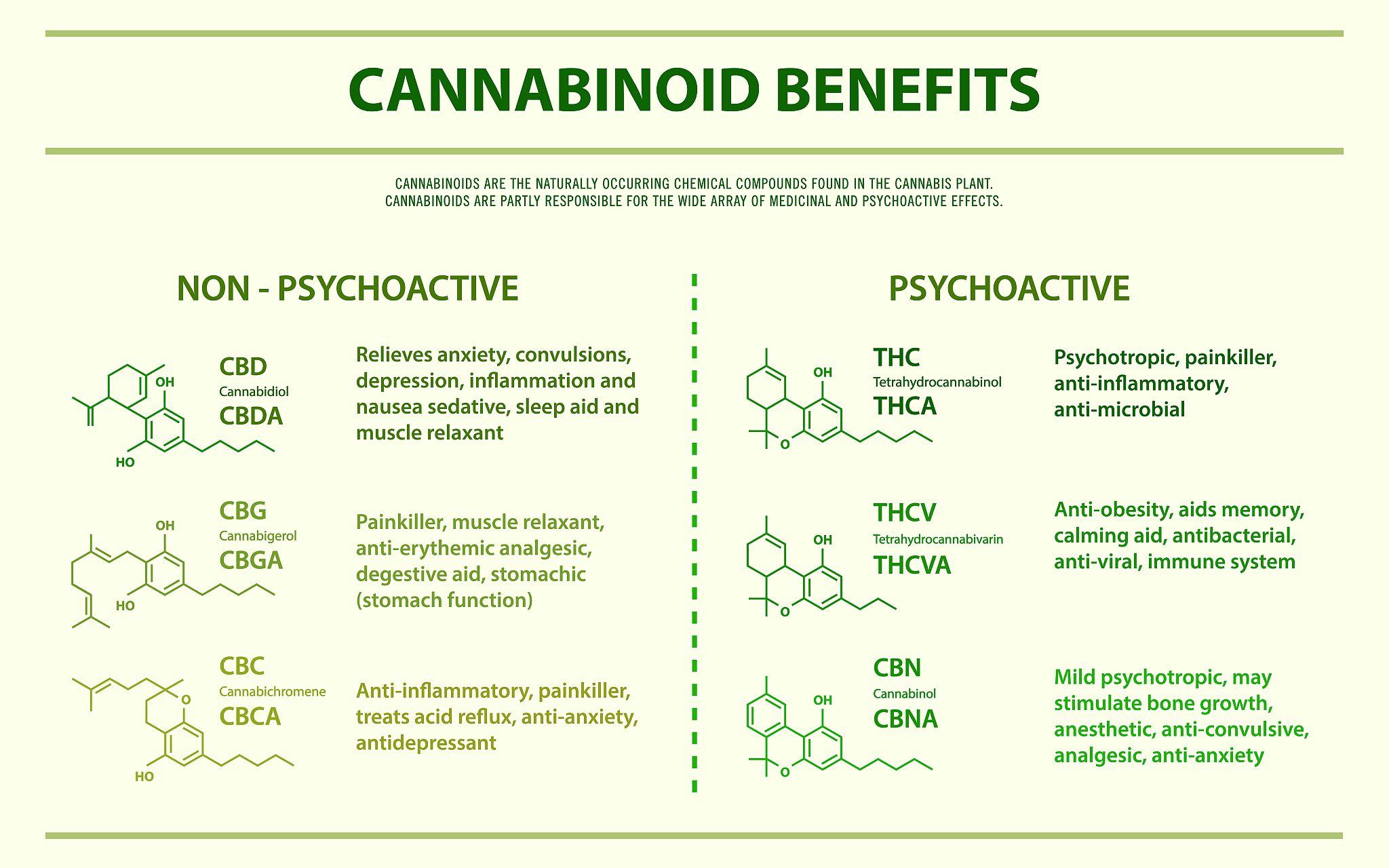 河北经济管理学校新增了哪些3+2的专业？
