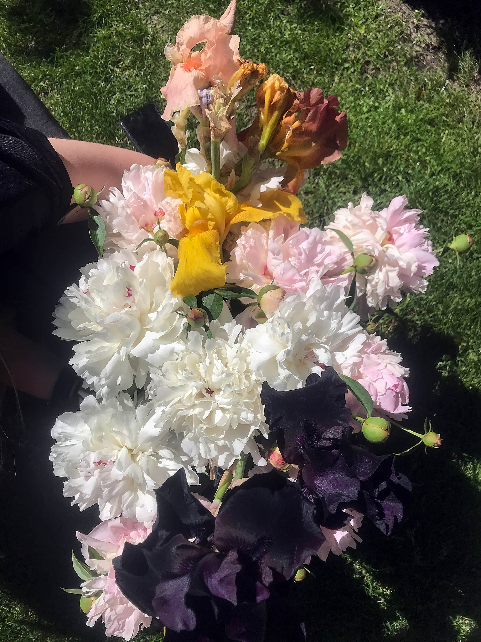 Write a poem about flower every sentence starts with letter g