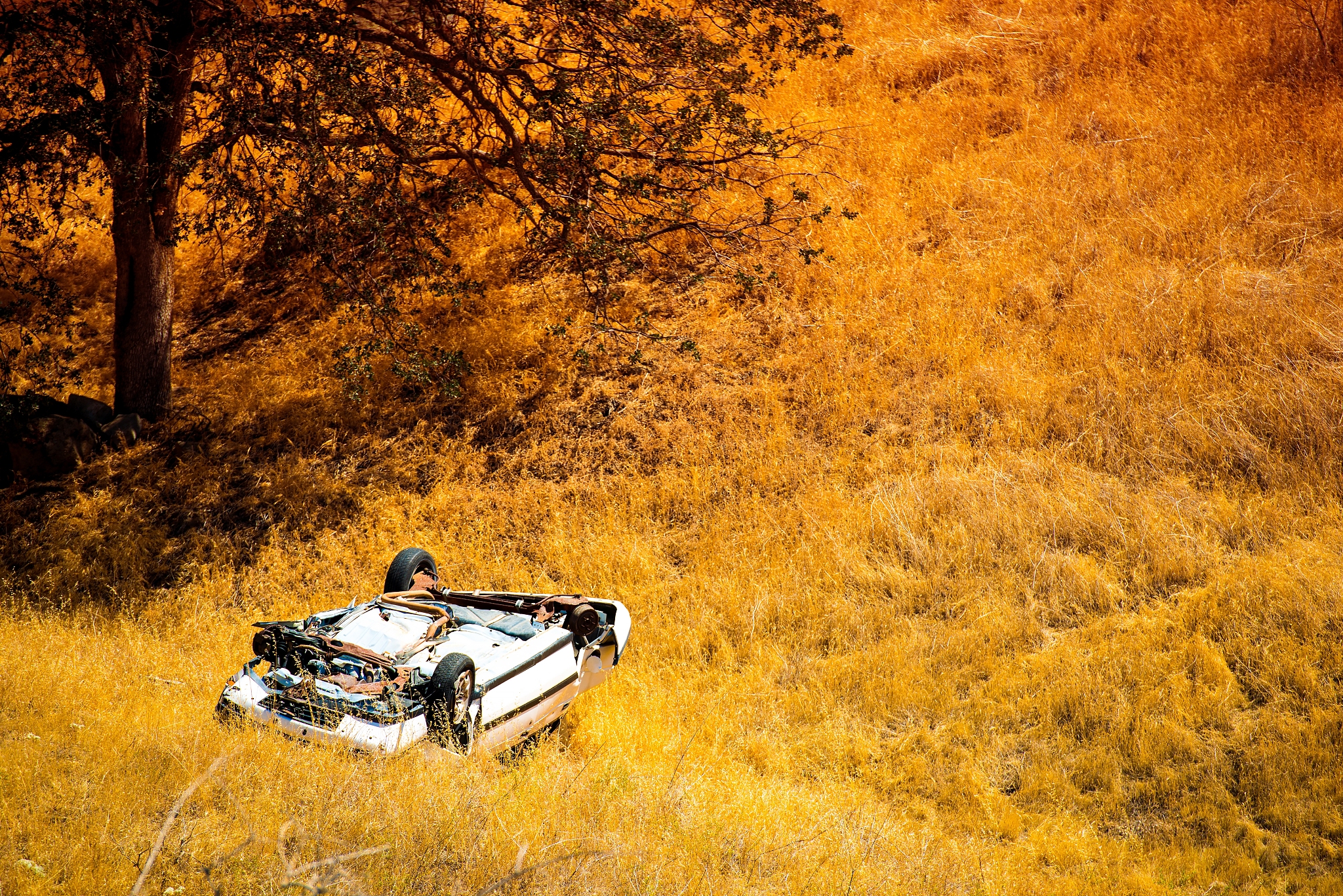 rollover crashed car