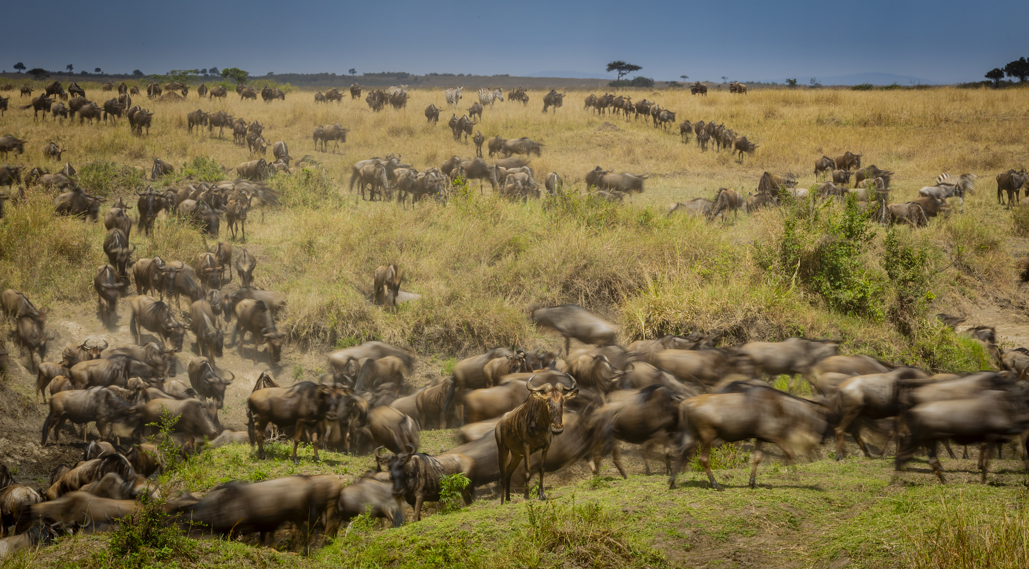 great migration