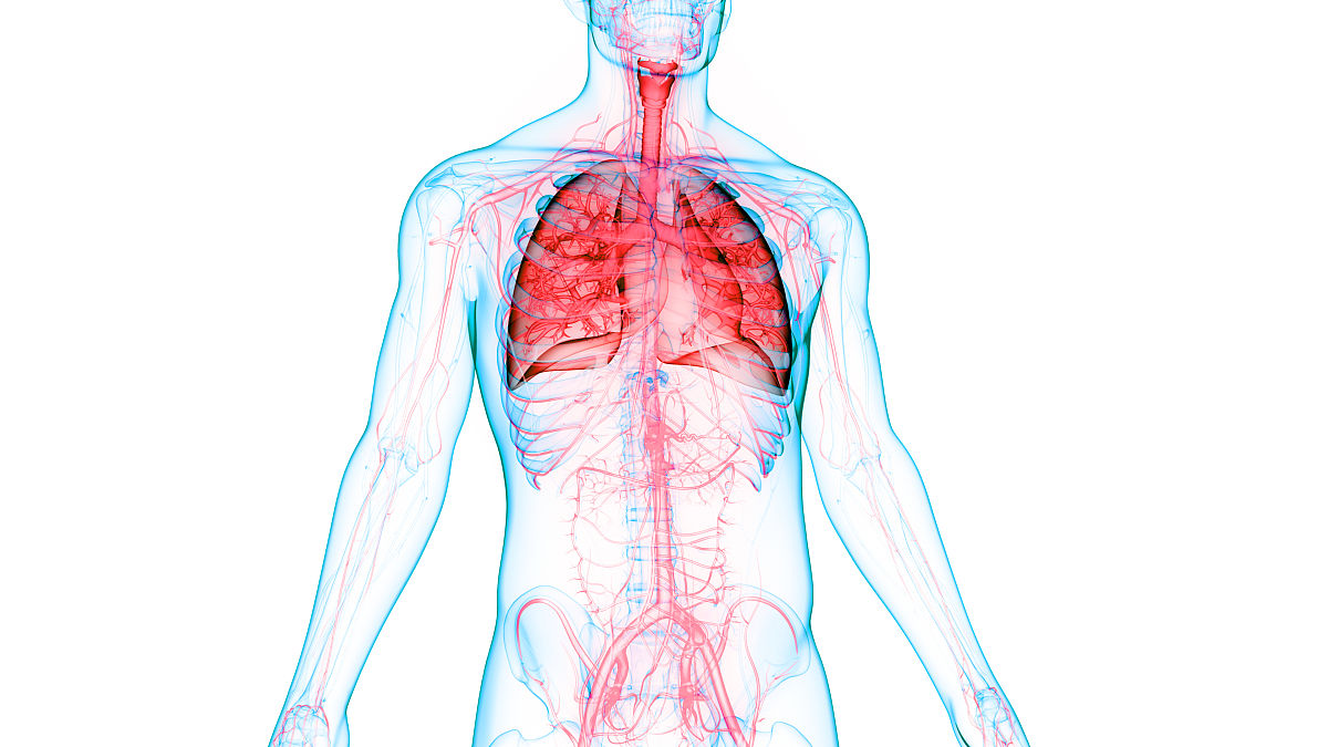 什么是呼吸运动