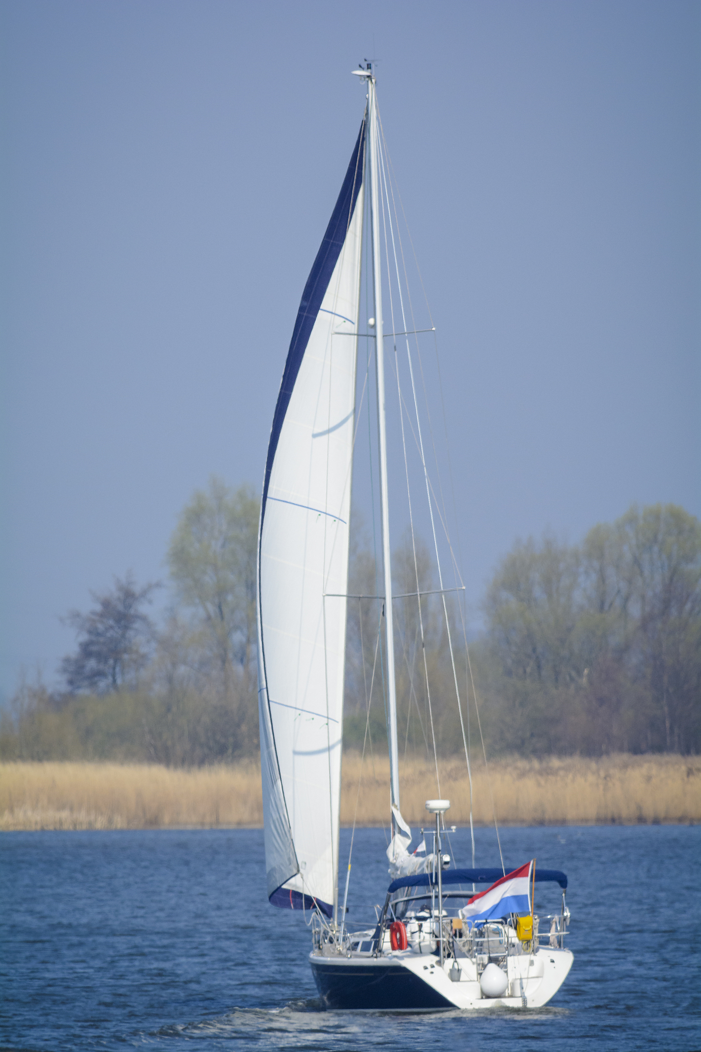sailing in nature