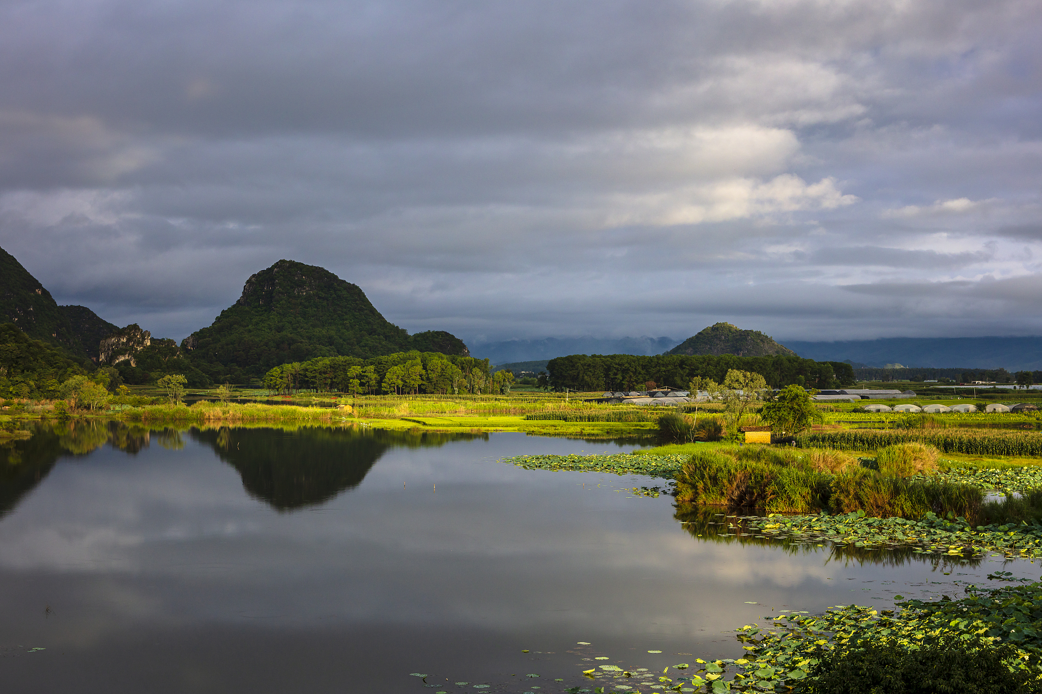 黄昏 丘北县小吃 普者黑景区 花海 三生三世附近仙人洞景区骑水牛的的人 米线 炸猪皮 凉粉 价格优惠 麻椒鸡 烤鸭 手工雪糕 麦田 绿化带水果琵琶 写一篇视频文案