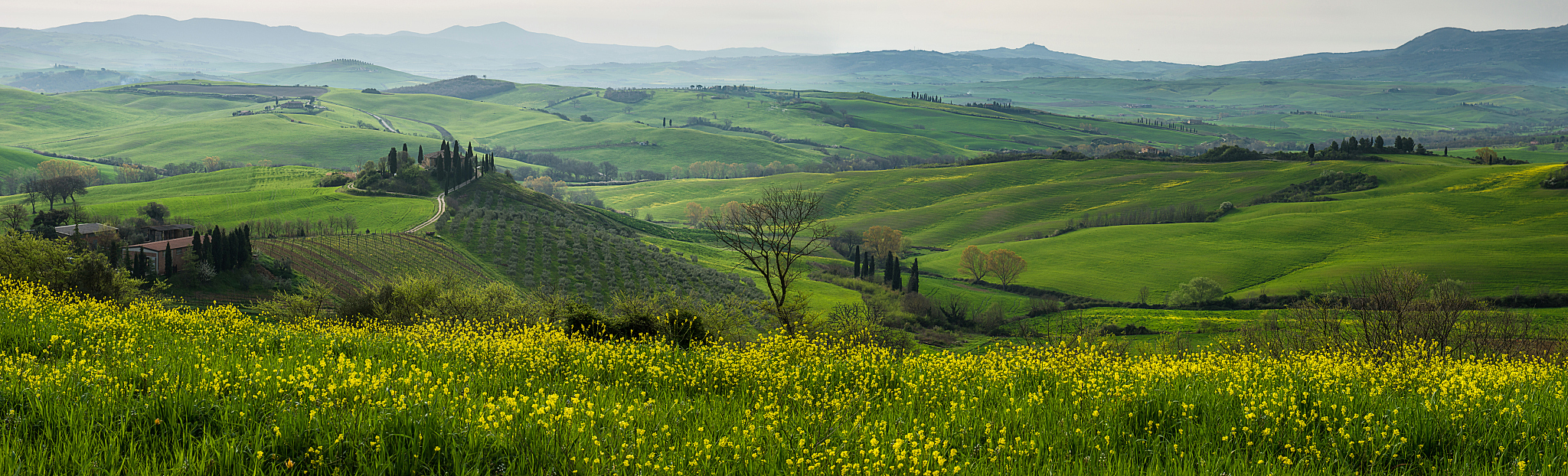 tuscany countryside