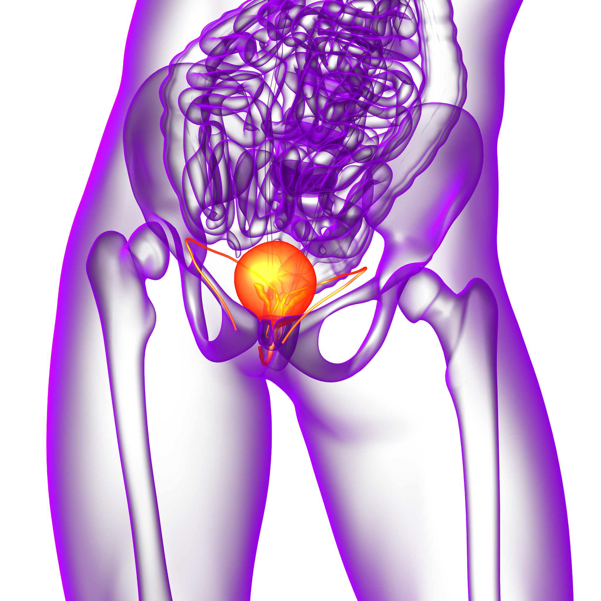 人体如何吸收水