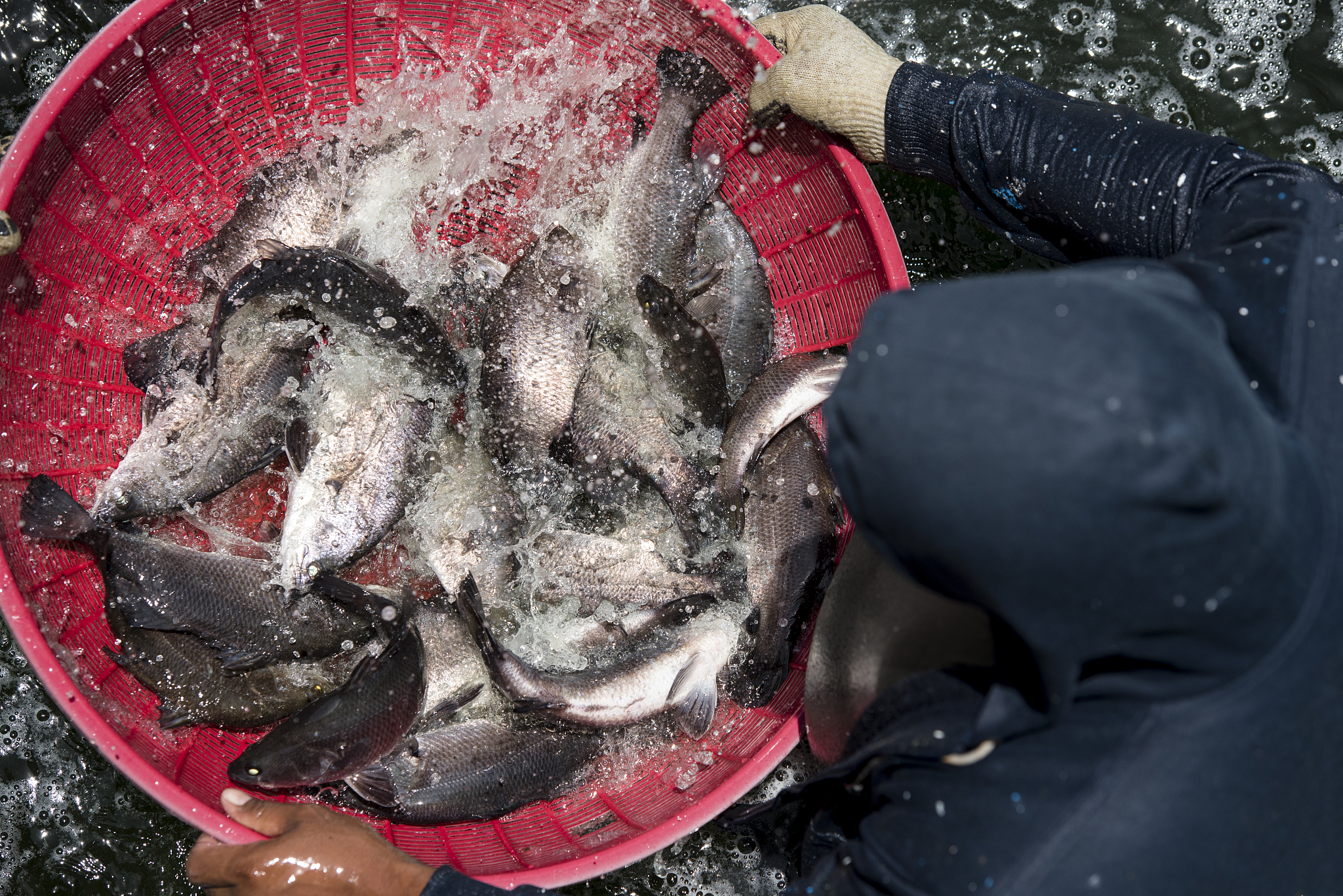 应对水产养殖场风险的主要措施