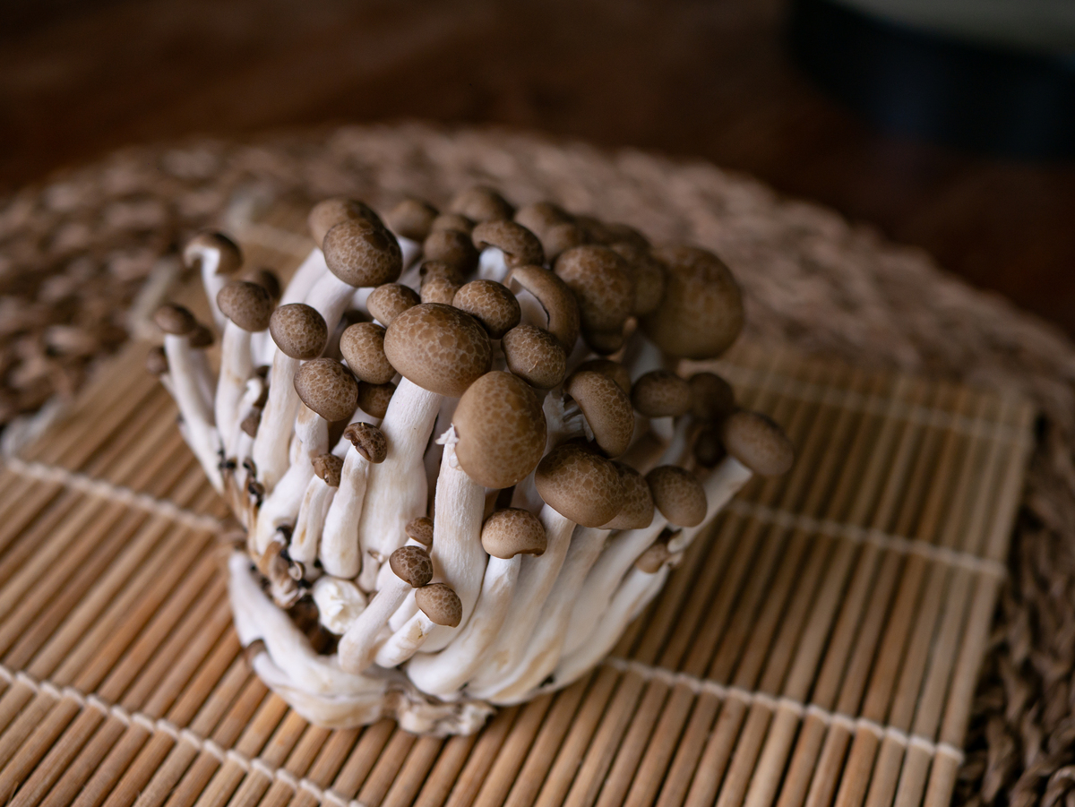 平菇炒出来发苦能吃吗，