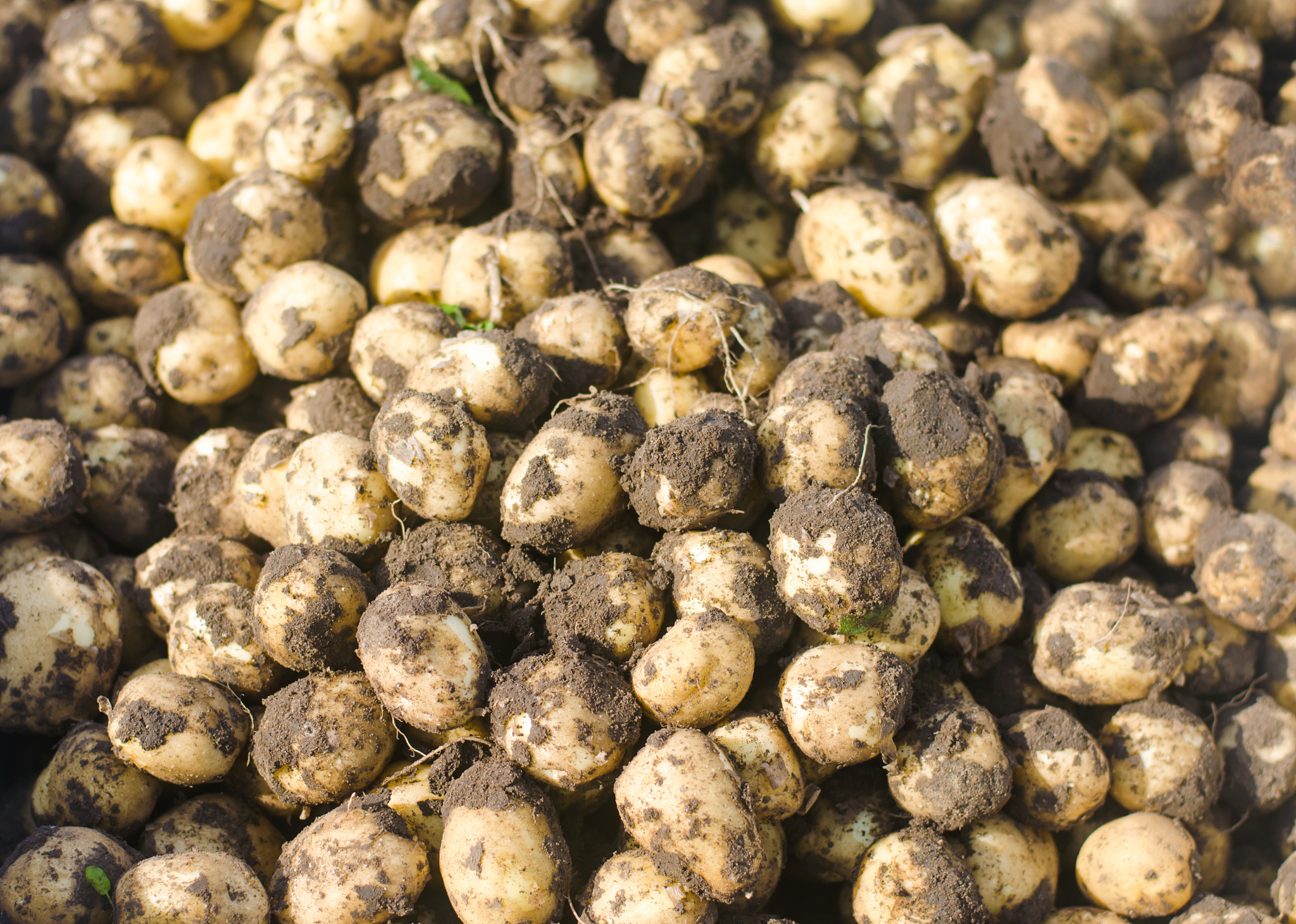 山西青年职业学院资产评估与管理专业涉及哪些课程