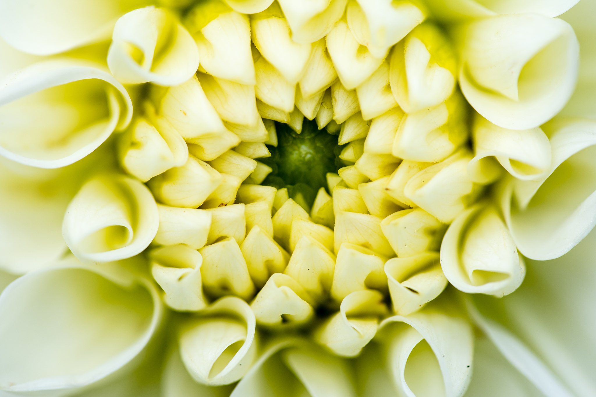 chirp函数在Matlab拖拽后需要进行参数设置吗