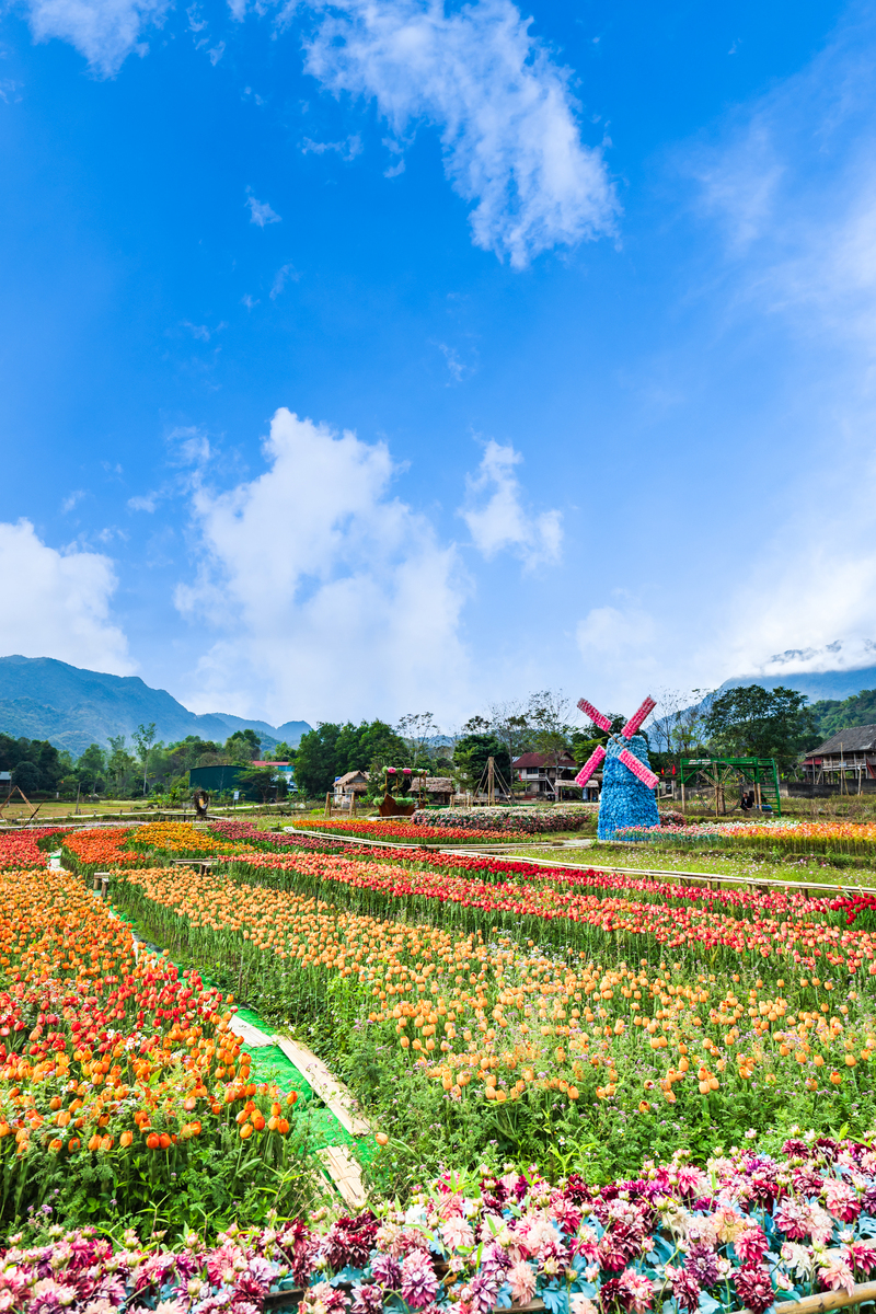 阐述：本文聚焦于攀枝花仁和区生态康养旅游产品开发研究通过对国内外生态康养旅游发展及研究进行综述明确生态康养旅游的概念阐述游客体验理论、六度理论介绍仁和区生态康养旅游发展的资源、市场和产品要素并具体分析其生态康养旅游产品开发优势通过获取问卷数据来发现仁和区生态康养旅游产品存在的问题依据调研结果提出针对性的产品开发策略。