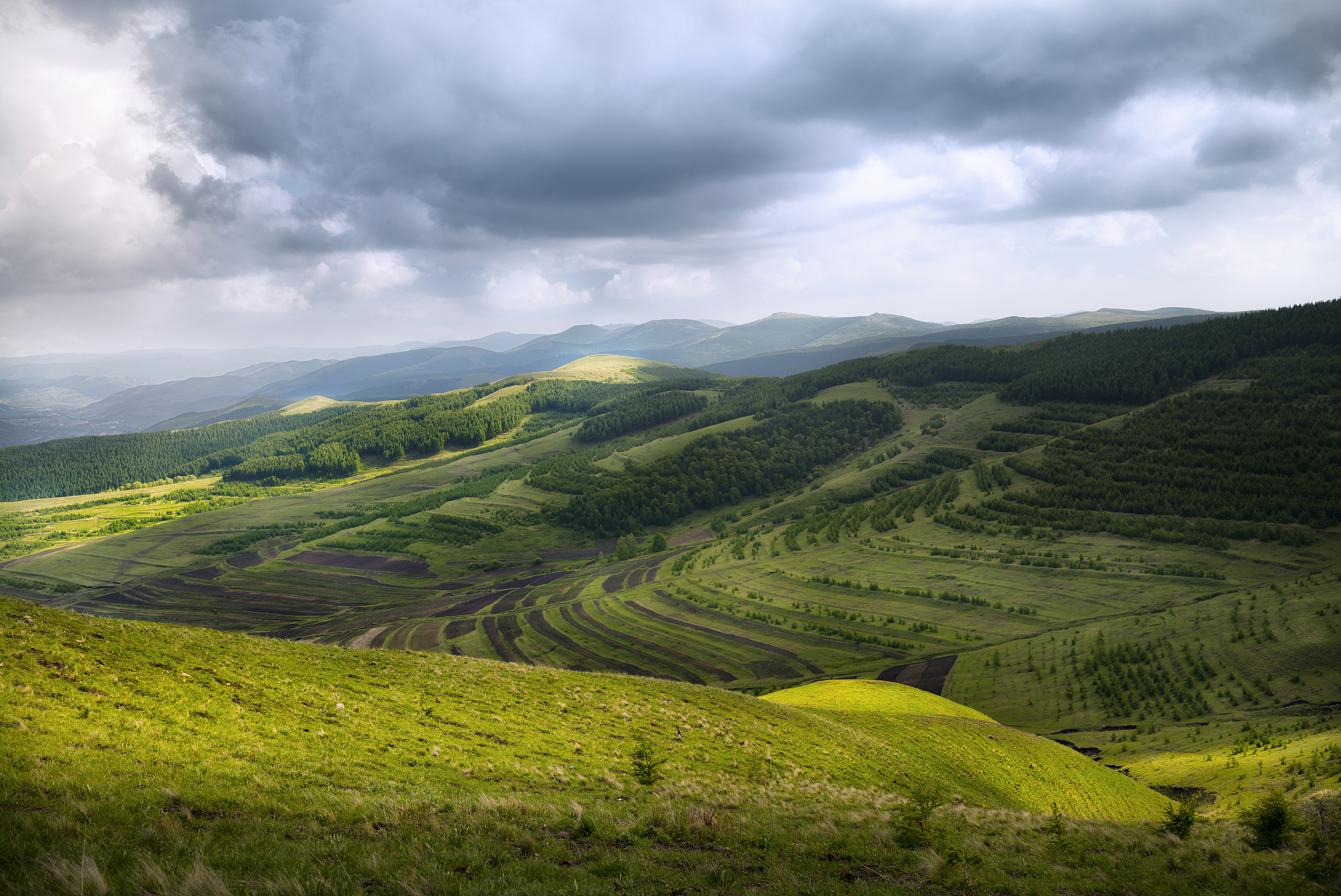 green hillside in mountains
