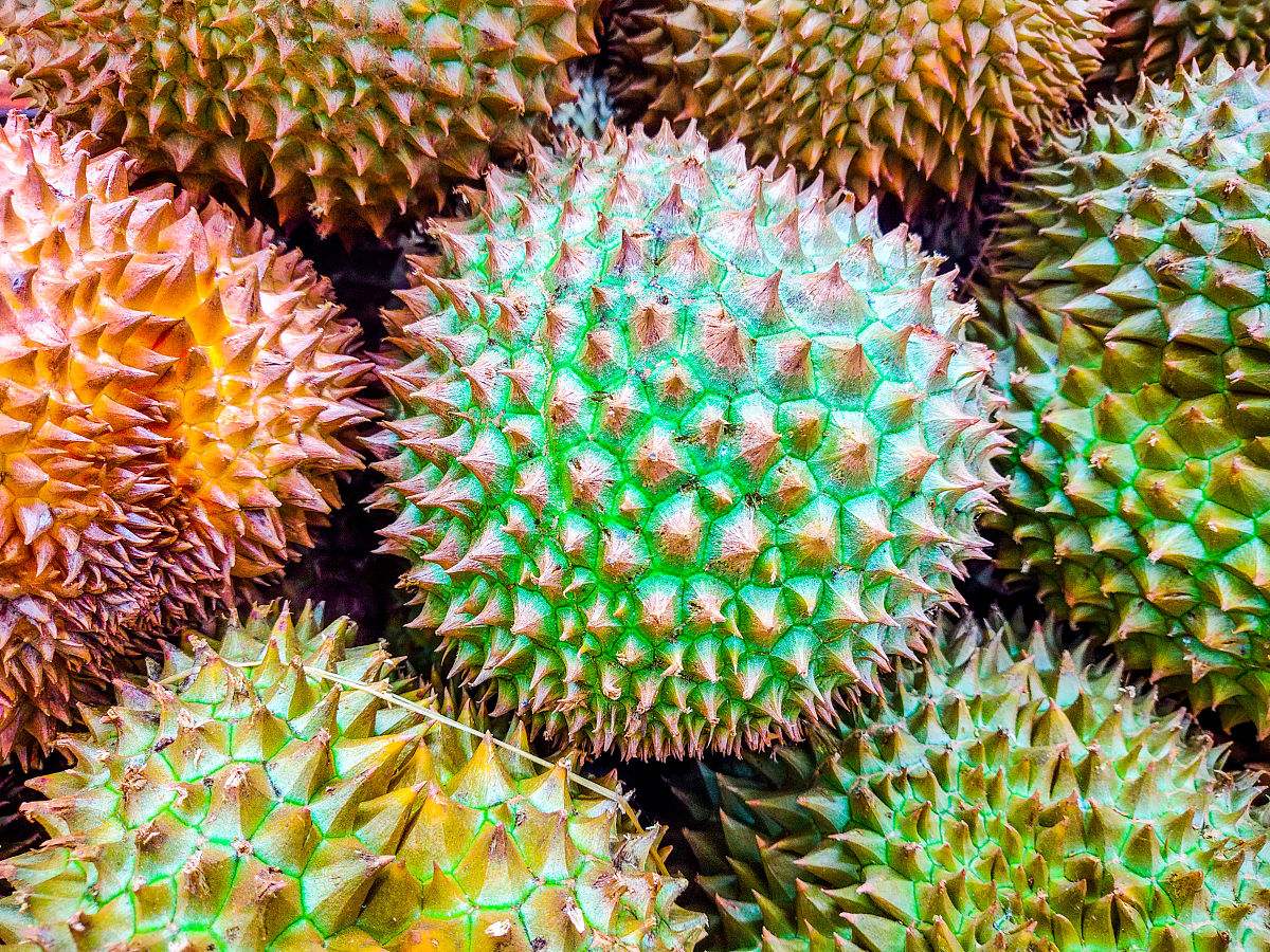 吃榴莲身体发烫？原因解析及应对措施