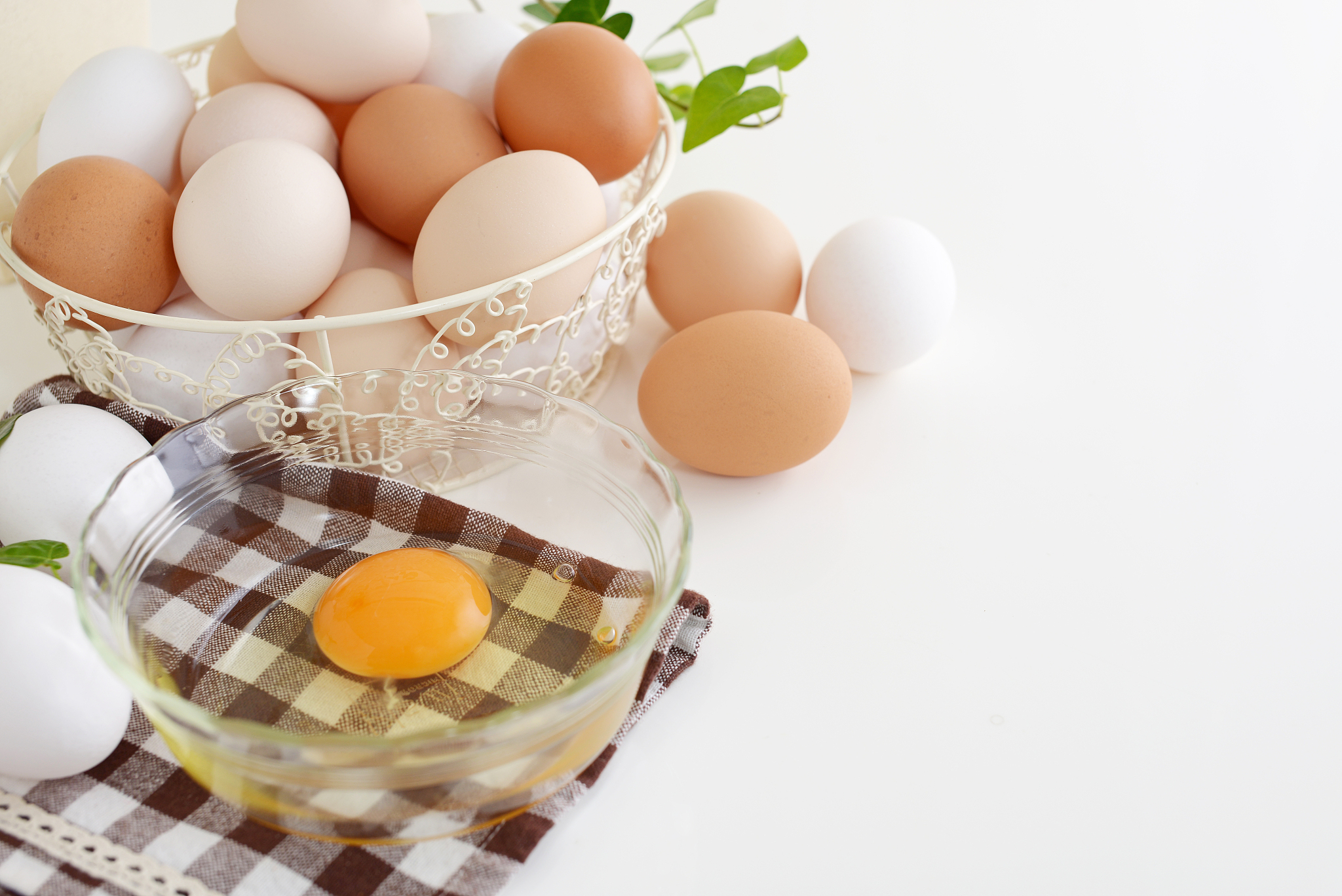 fresh chicken eggs